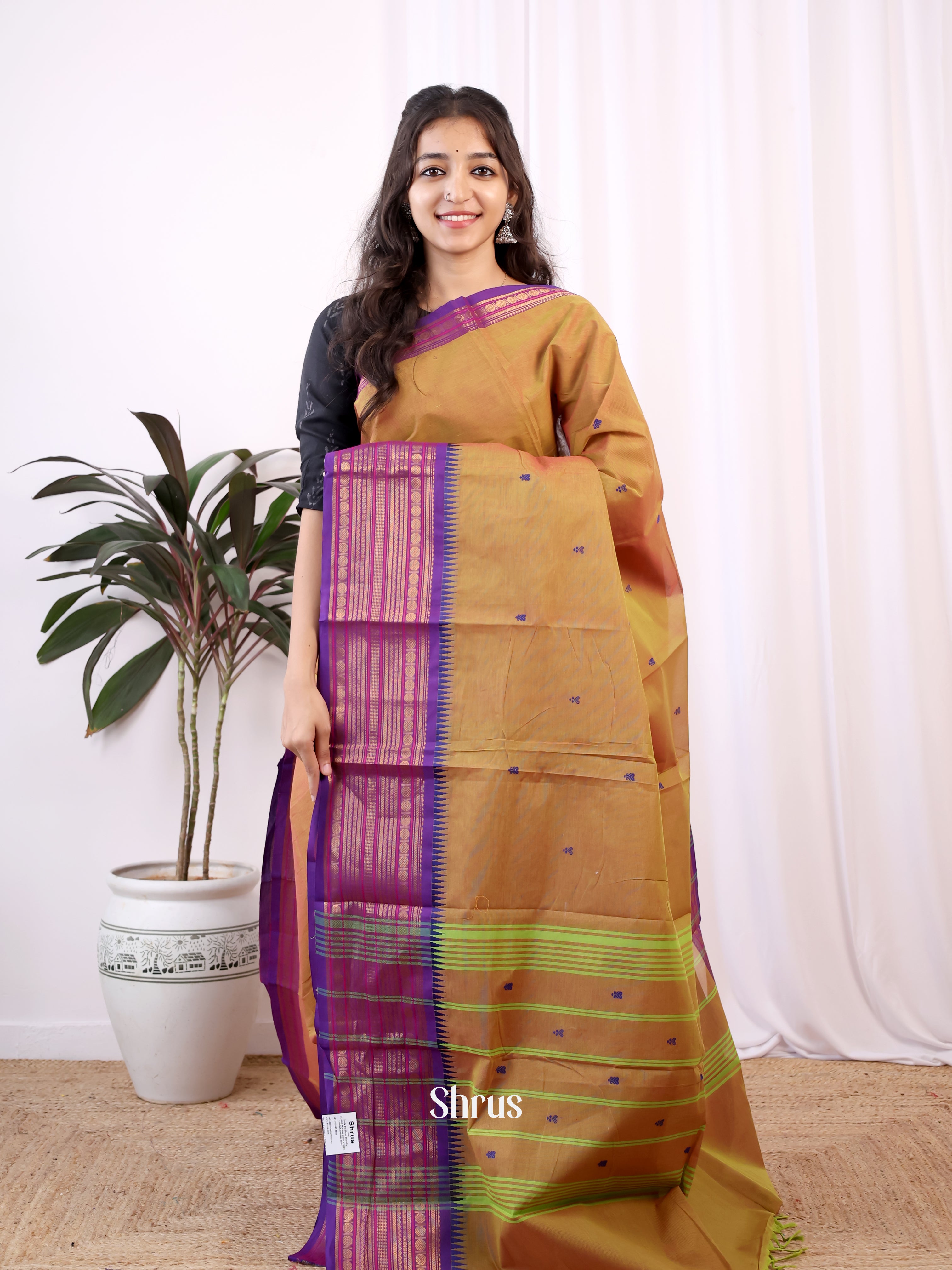 Double Shaded Green & Purple- Chettinad Cotton Saree - Shop on Shrus.com