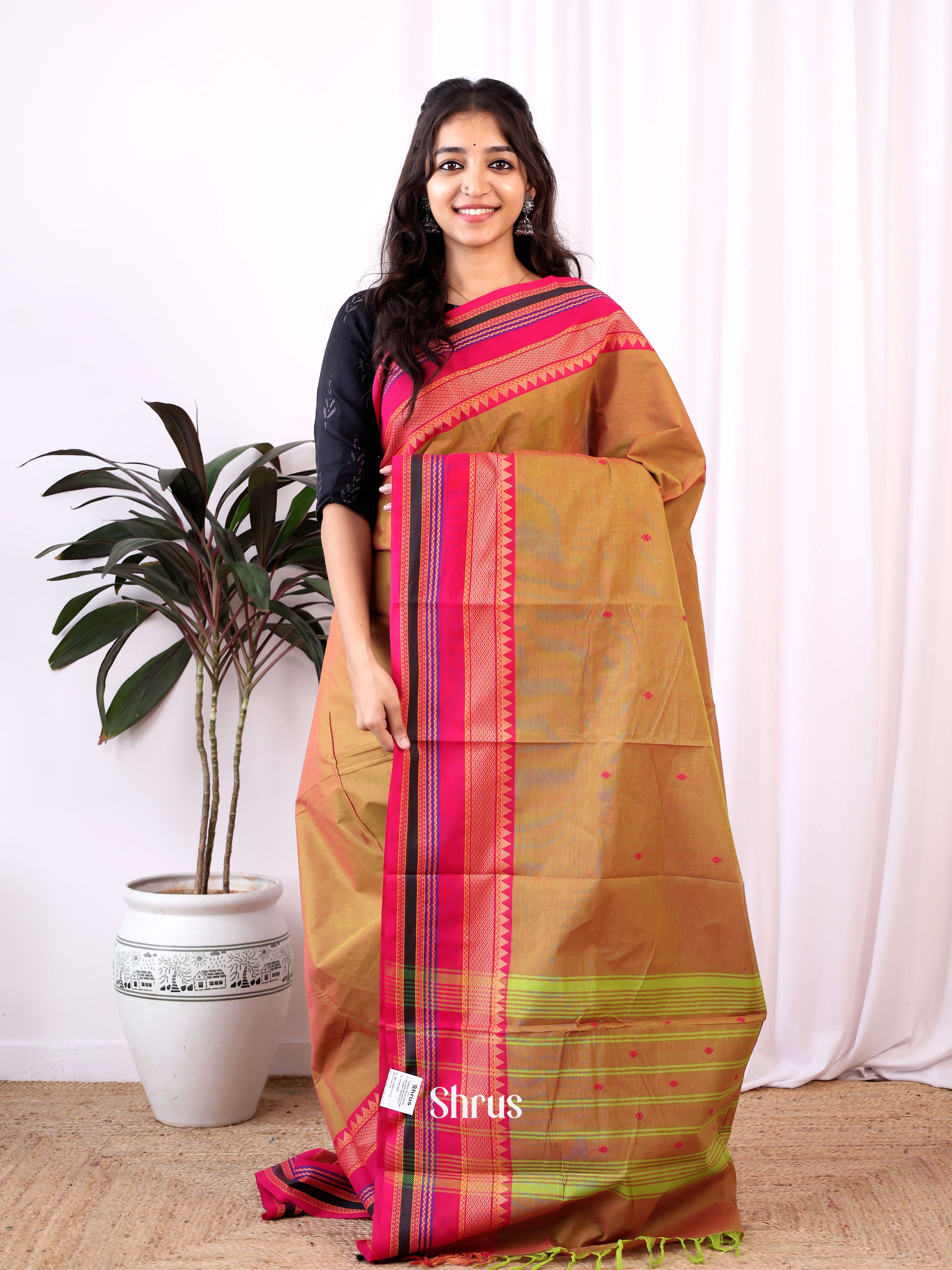 Double Shaded Green & Pink - Chettinad Cotton Saree - Shop on Shrus.com