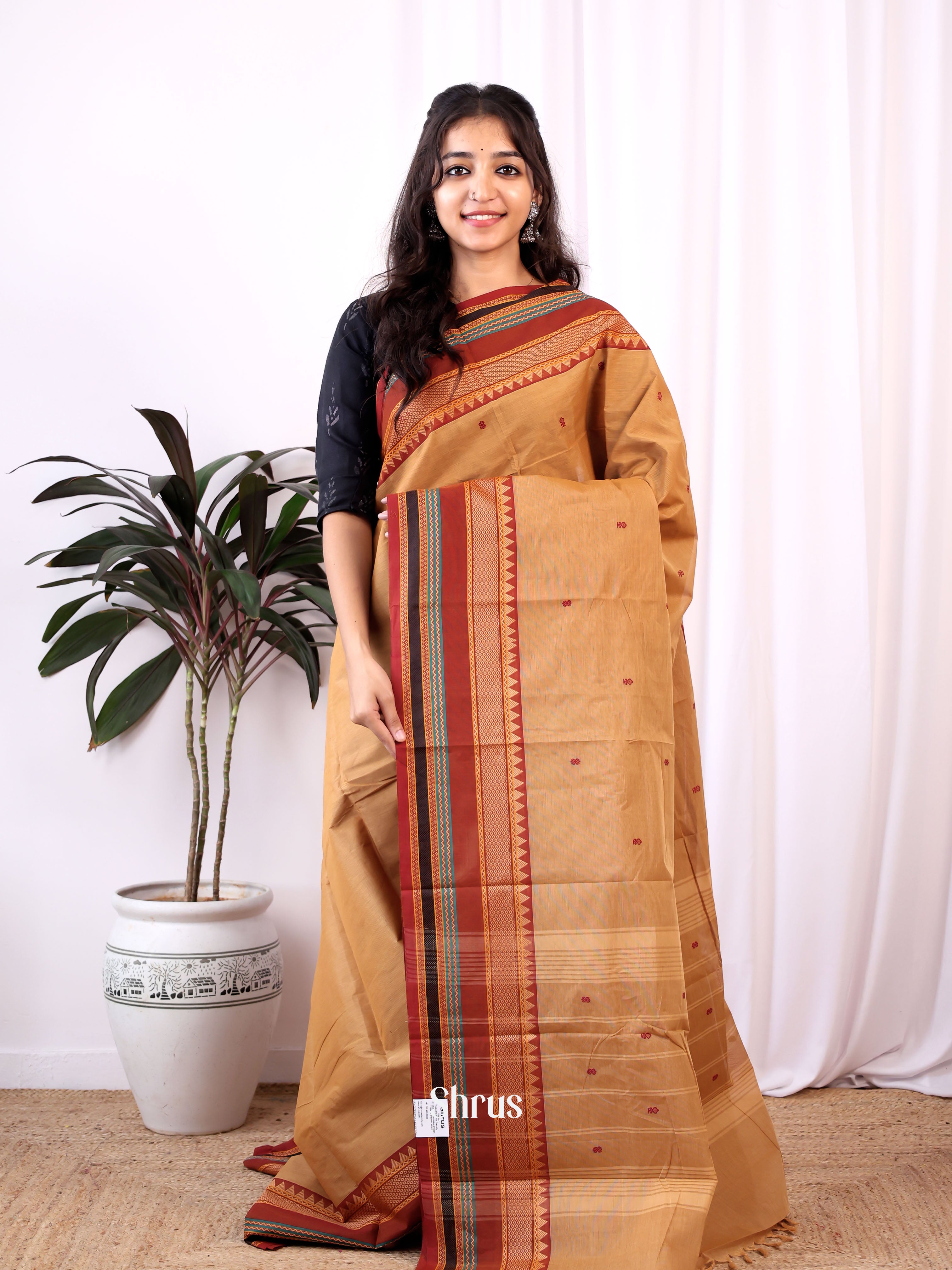 Lite Brown & Brown - Chettinad Cotton Saree - Shop on Shrus.com