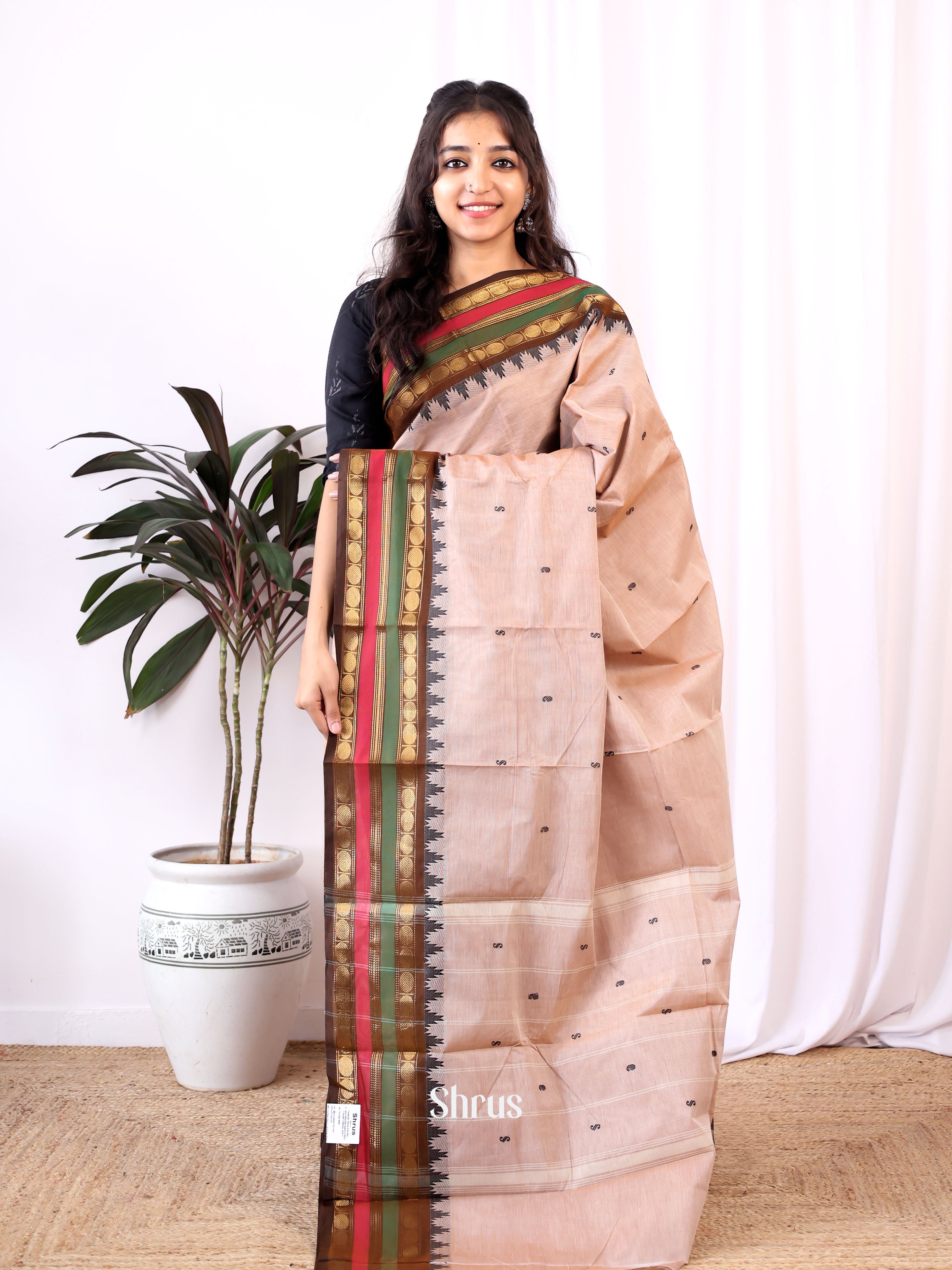 Cream & Brown - Chettinad Cotton Saree - Shop on Shrus.com