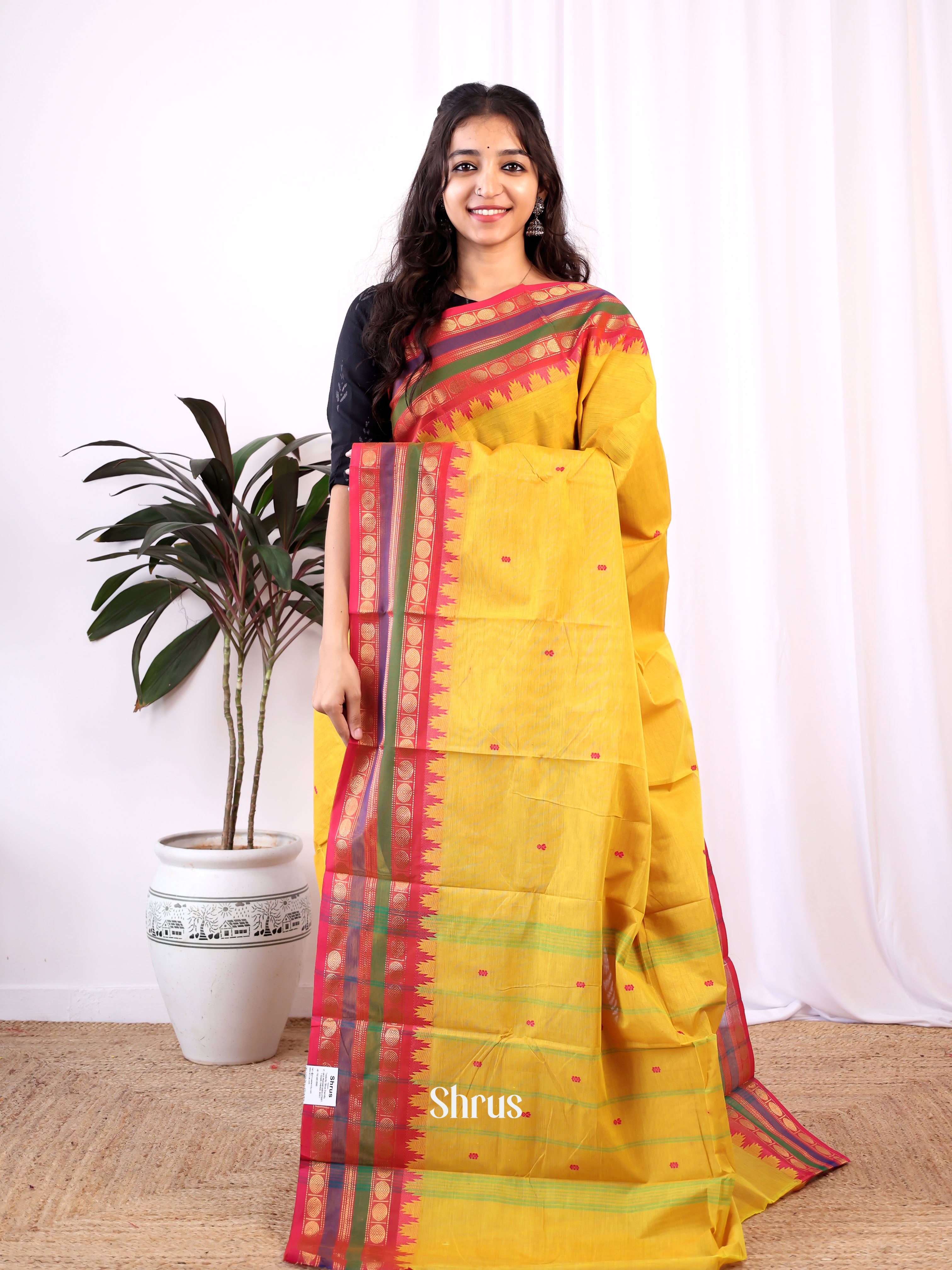 Mustardy Green & Pink - Chettinad Cotton Saree - Shop on Shrus.com