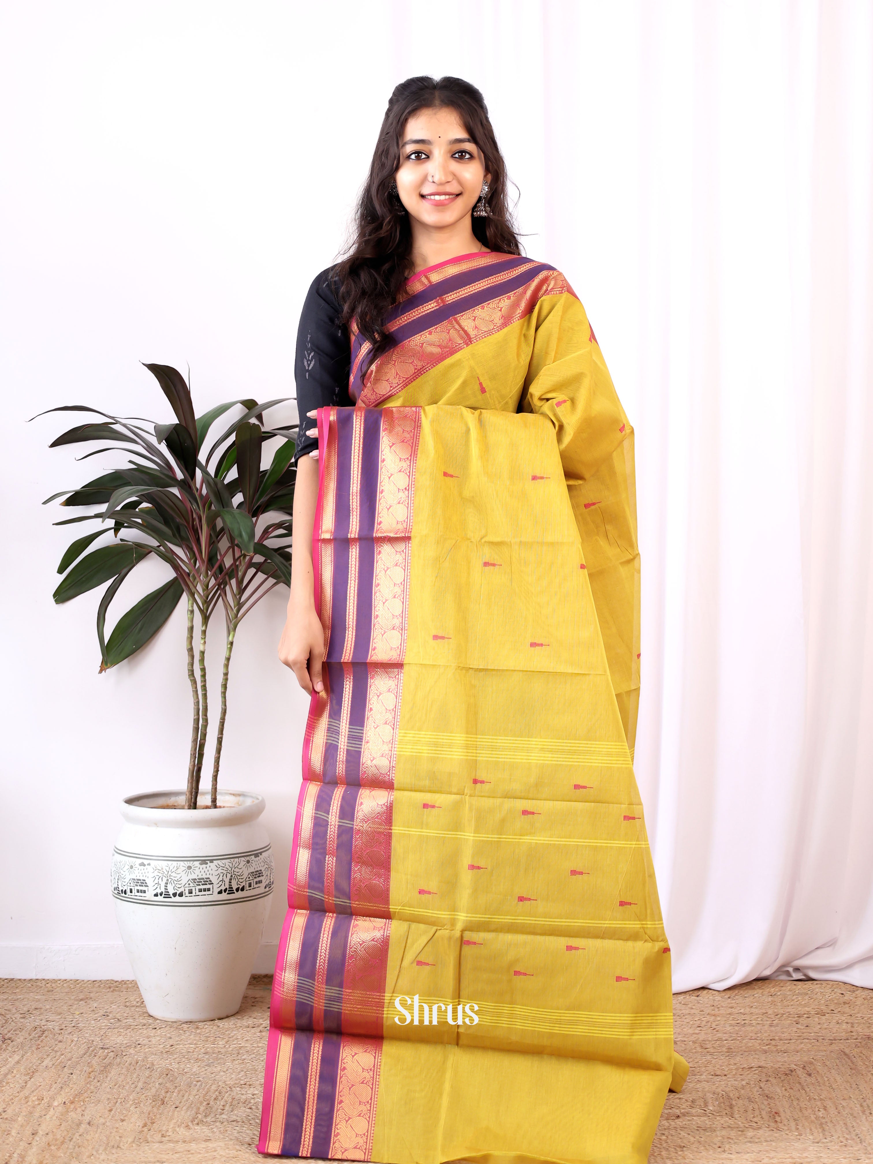 Mustardy Green & Majenta - Chettinad Cotton Saree - Shop on Shrus.com