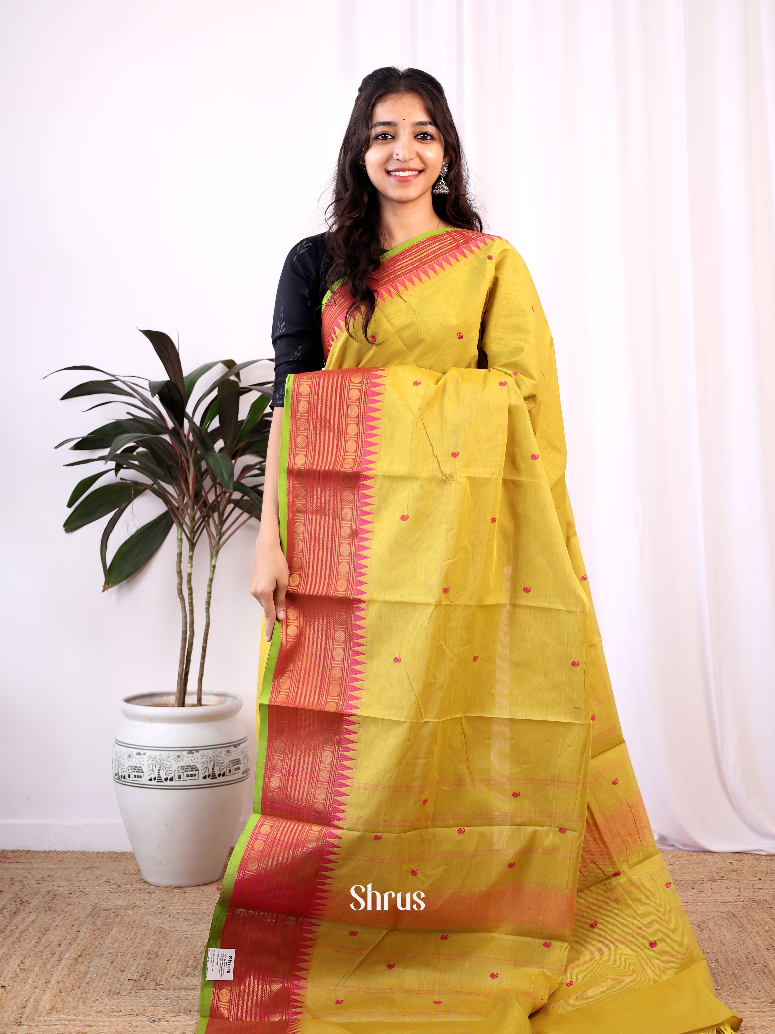 Mustardy Green & Pink- Chettinad Cotton Saree - Shop on Shrus.com