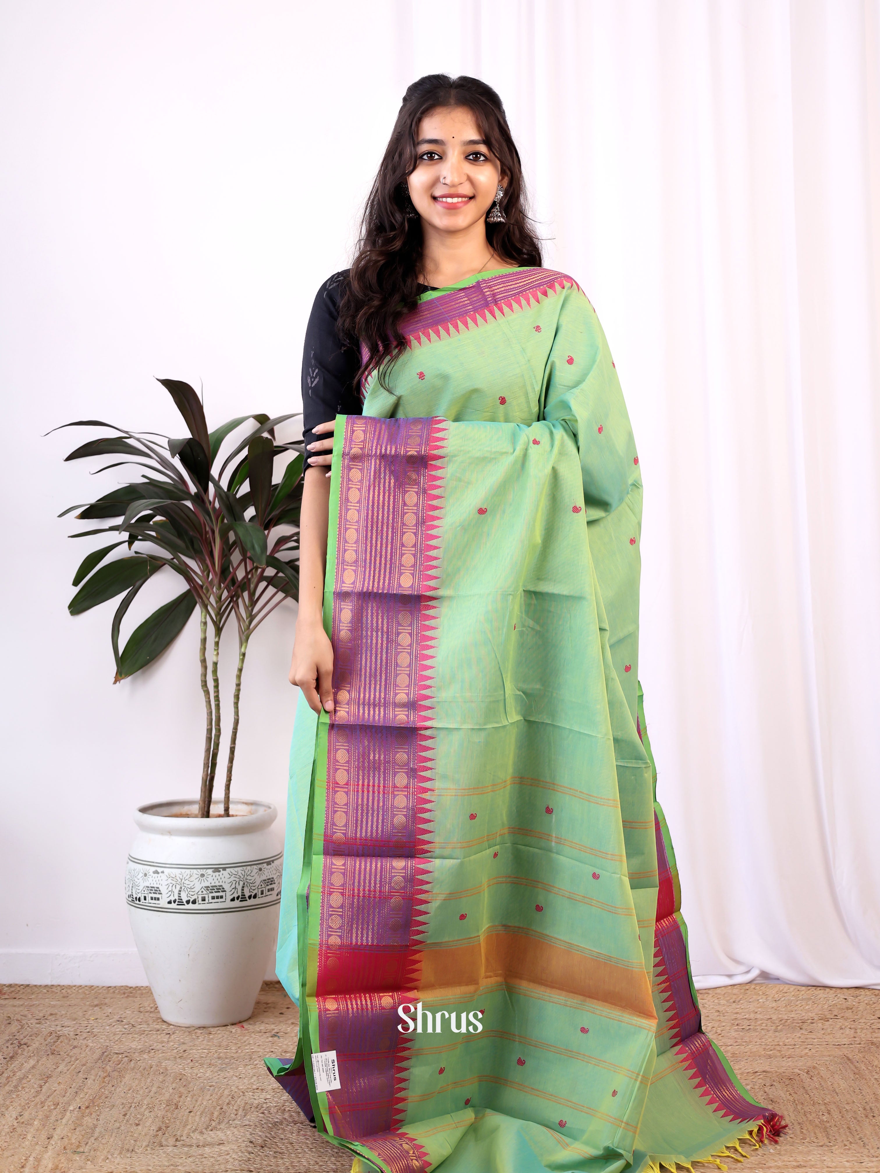 Green & Purple - Chettinad Cotton Saree - Shop on Shrus.com