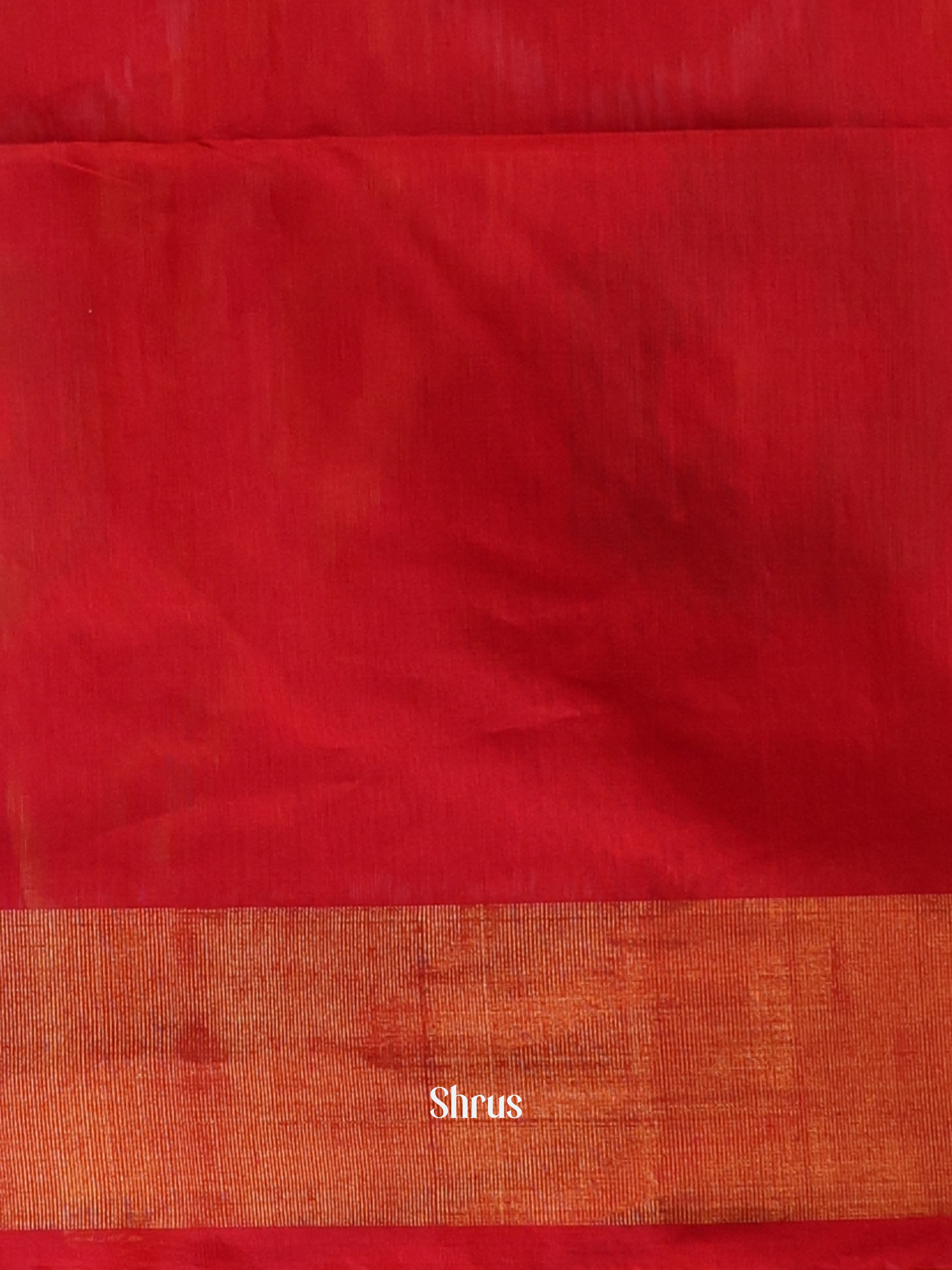 CJS09906 - Pochampally sico Saree - Shop on Shrus.com
