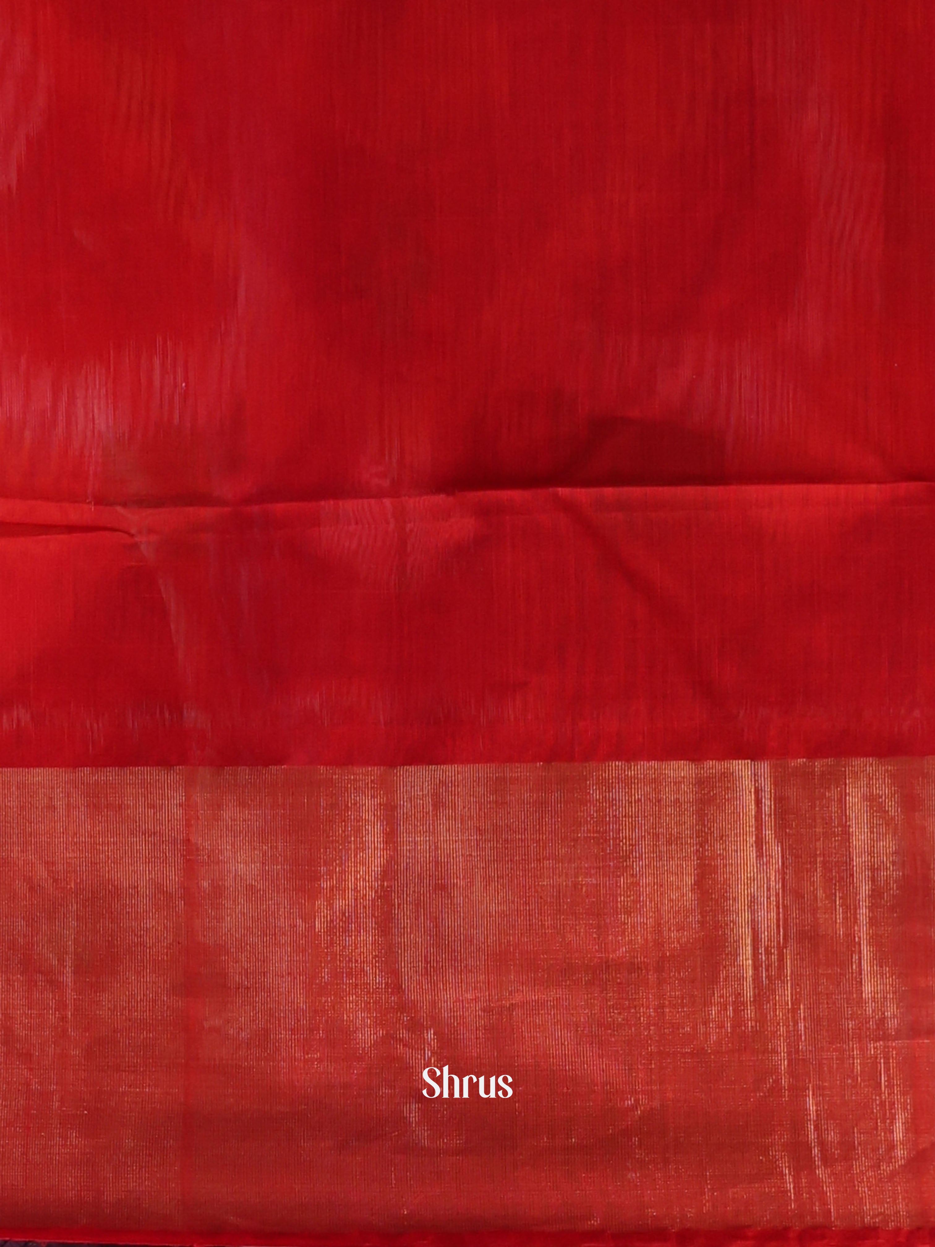 Green & Red - Pochampally sico Saree - Shop on Shrus.com