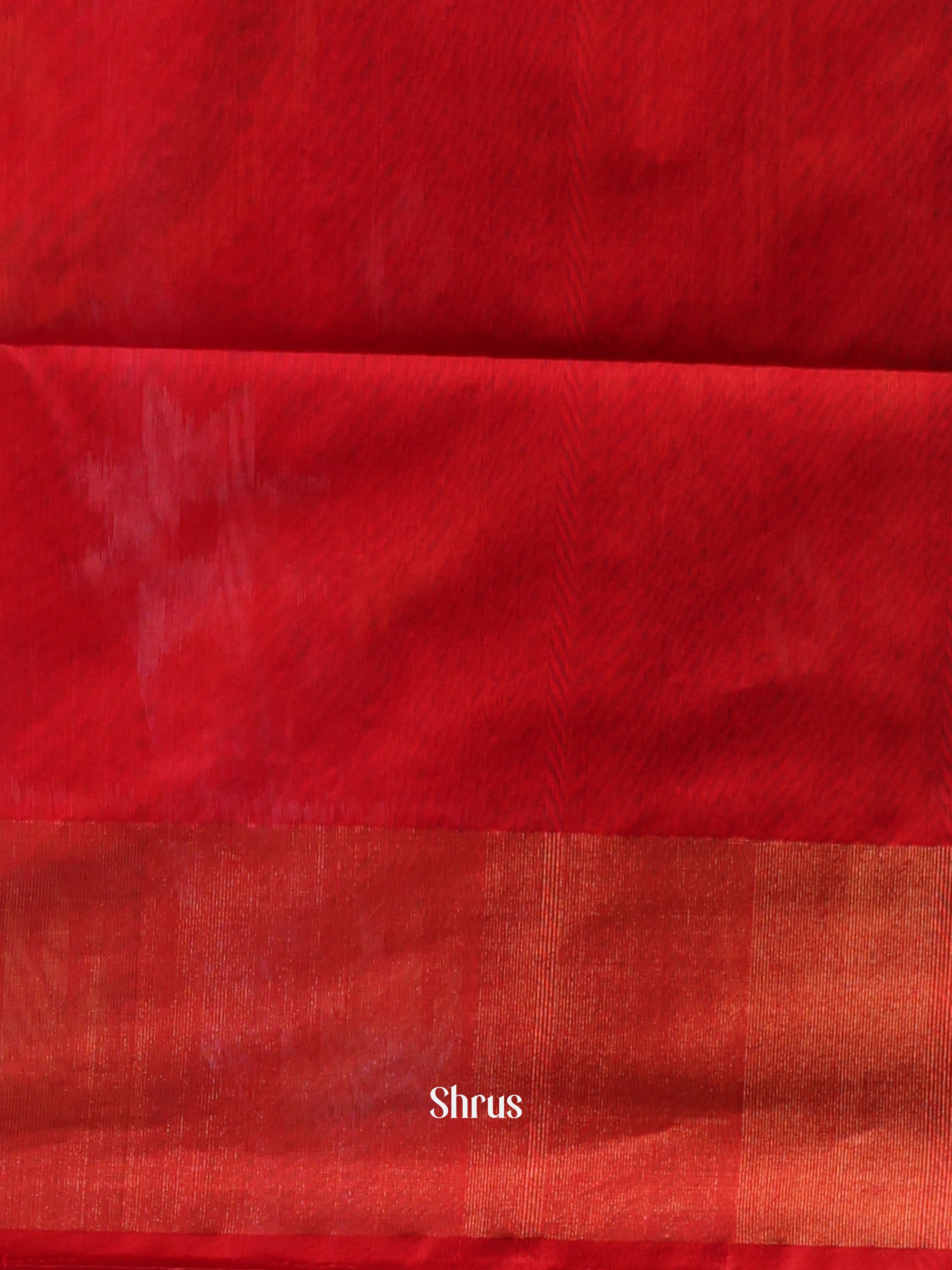 Elephant Grey & Red - Pochampally sico Saree - Shop on Shrus.com