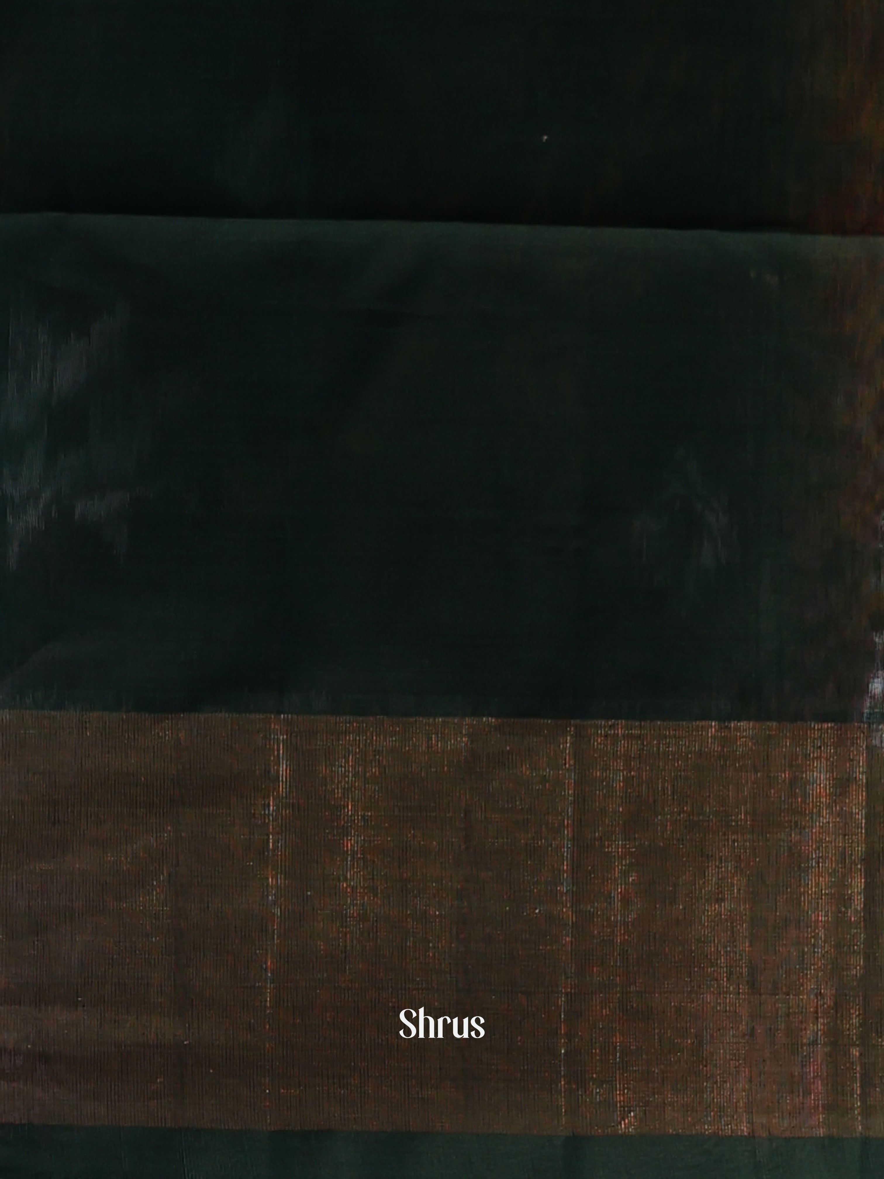 Orange & Green - Pochampally sico Saree - Shop on Shrus.com