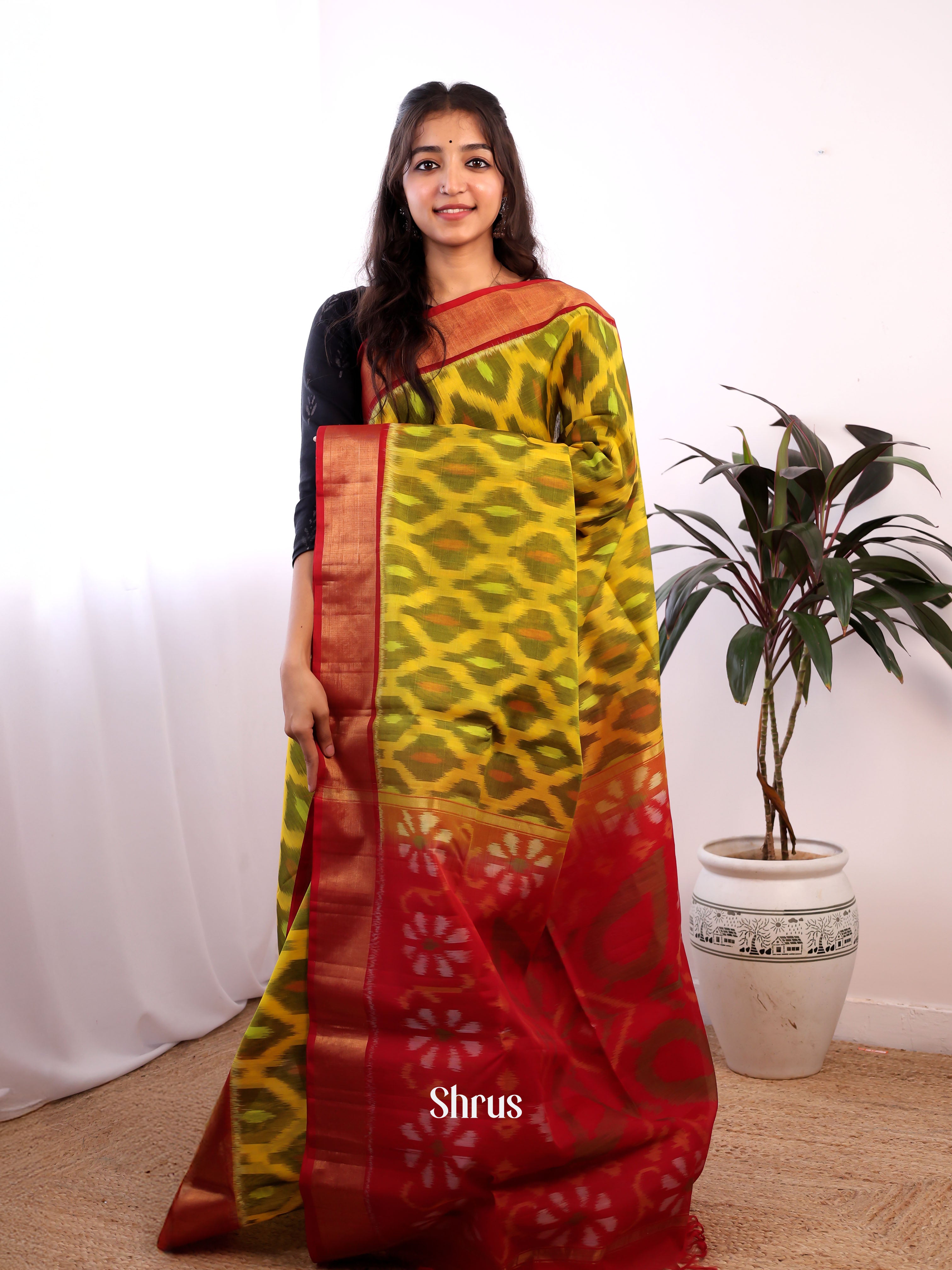 Mustardy Green & Red - Pochampally sico Saree - Shop on Shrus.com