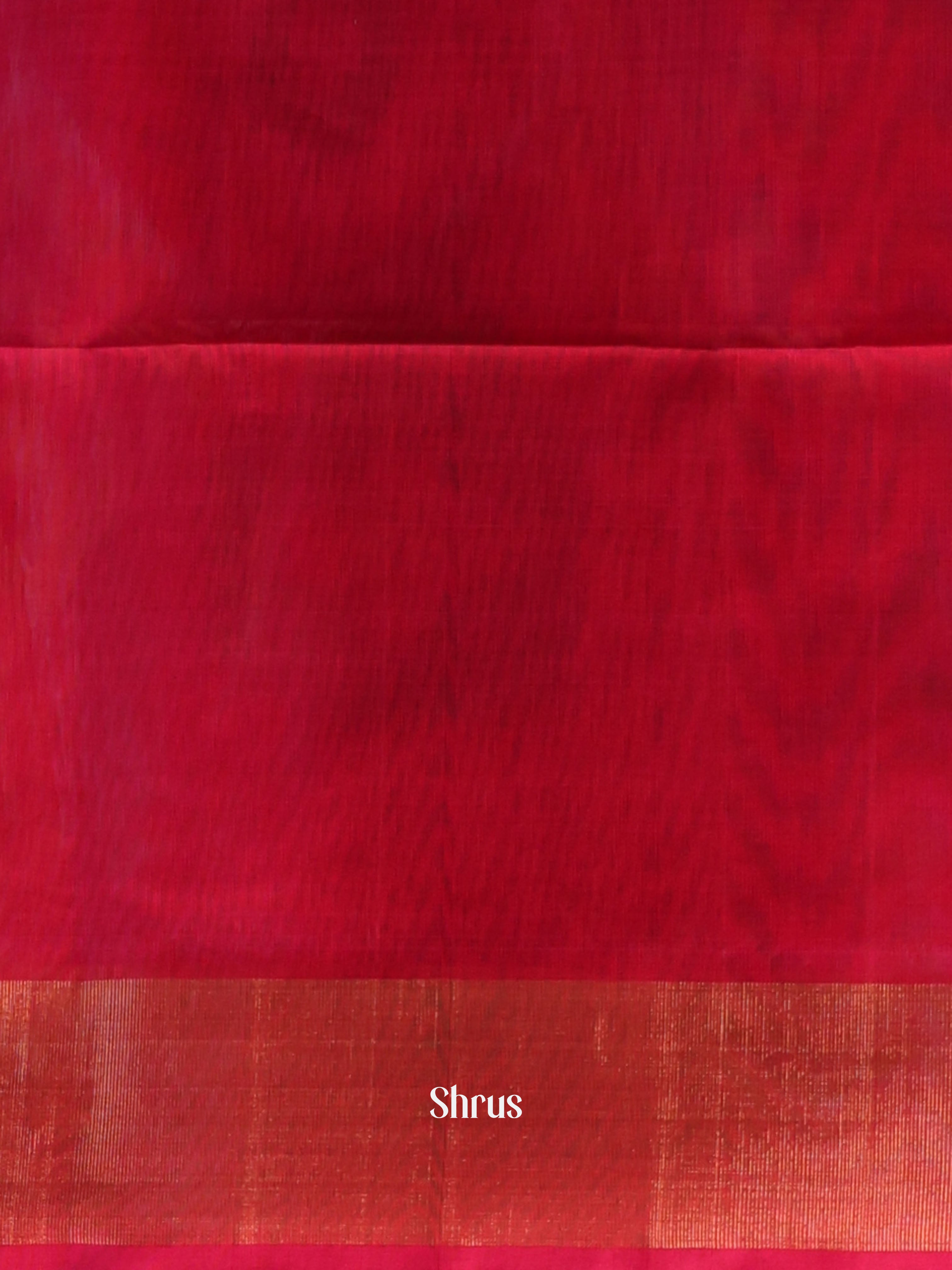 Cream & Red - Pochampally sico Saree - Shop on Shrus.com