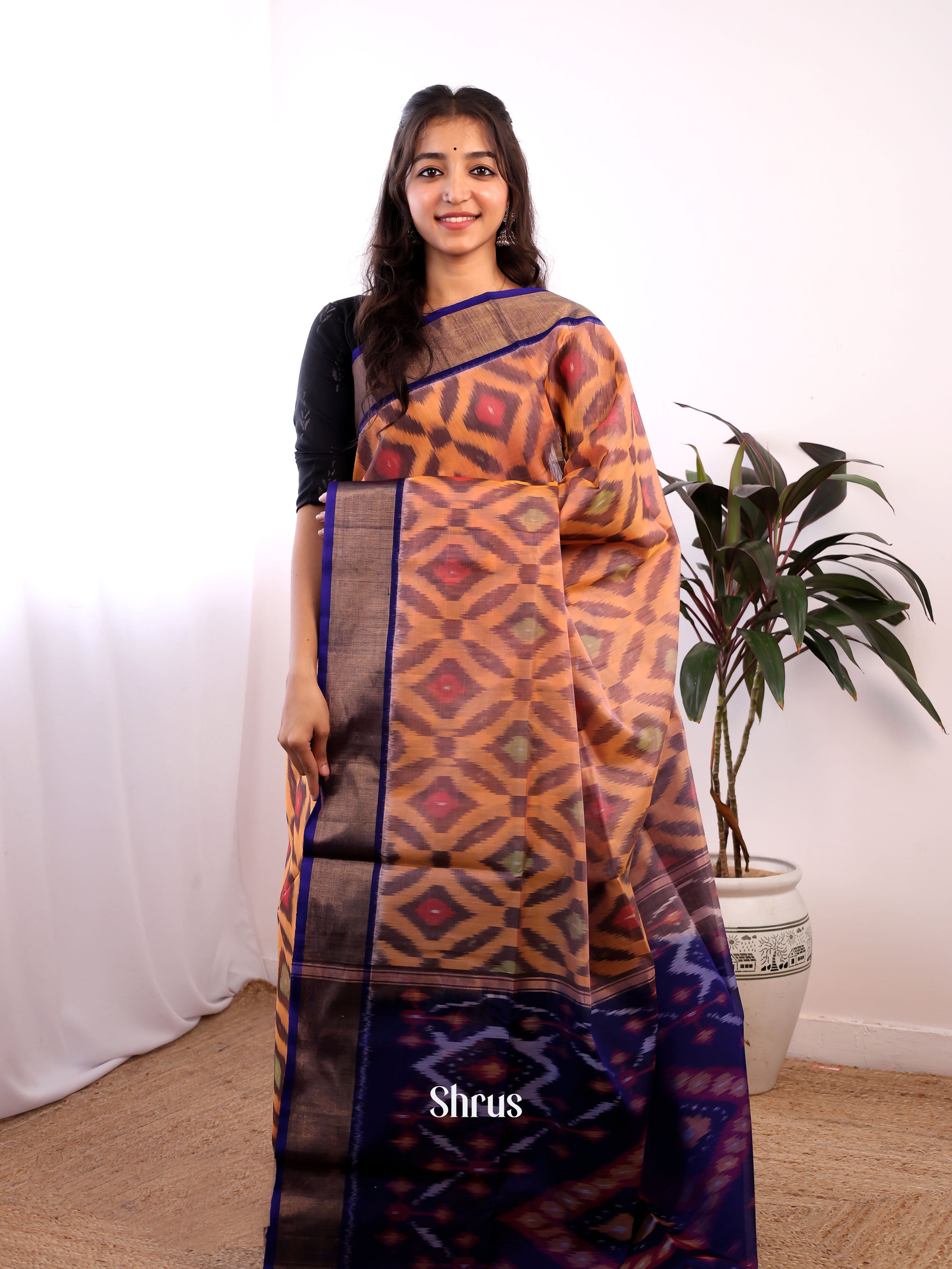 Brown & Blue - Pochampally sico Saree - Shop on Shrus.com