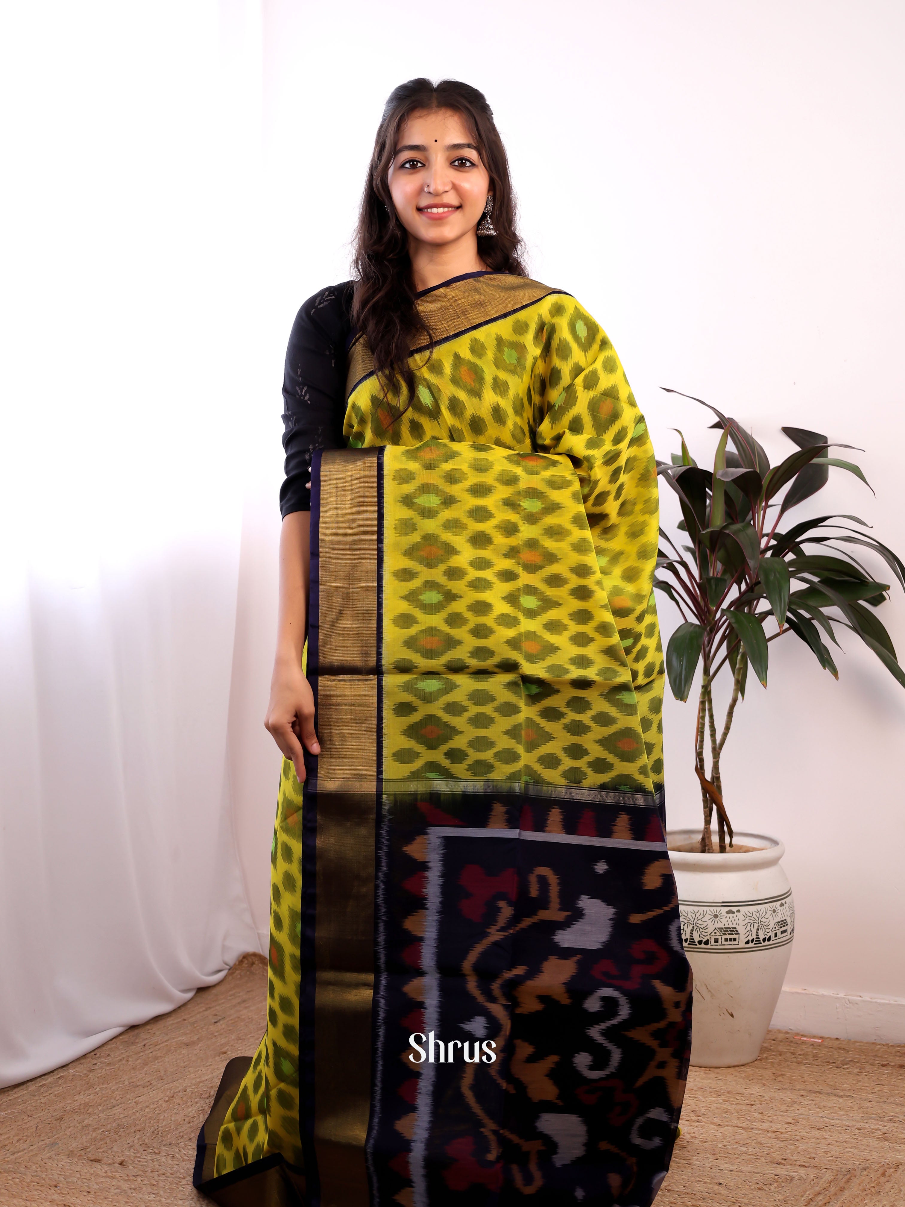 Mustardy Green & Violet - Pochampally sico Saree - Shop on Shrus.com