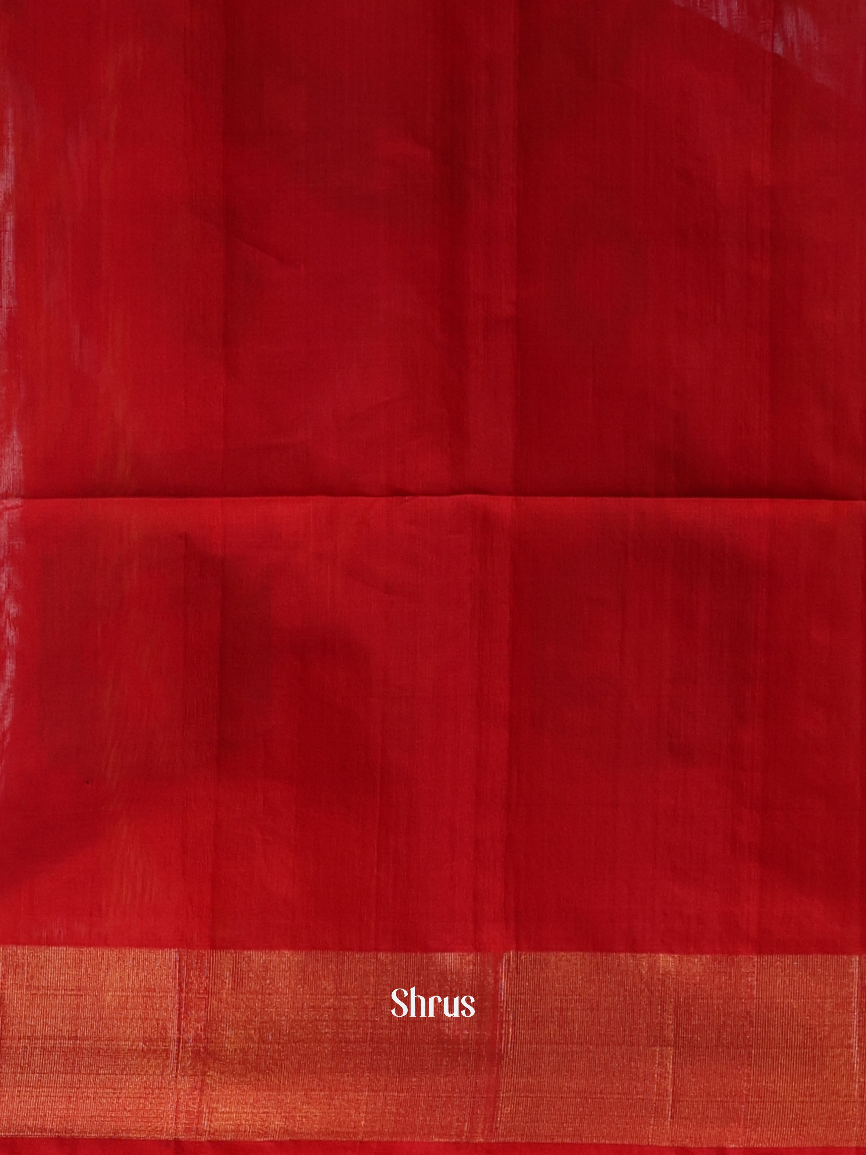 CJS09904 - Pochampally sico Saree - Shop on Shrus.com