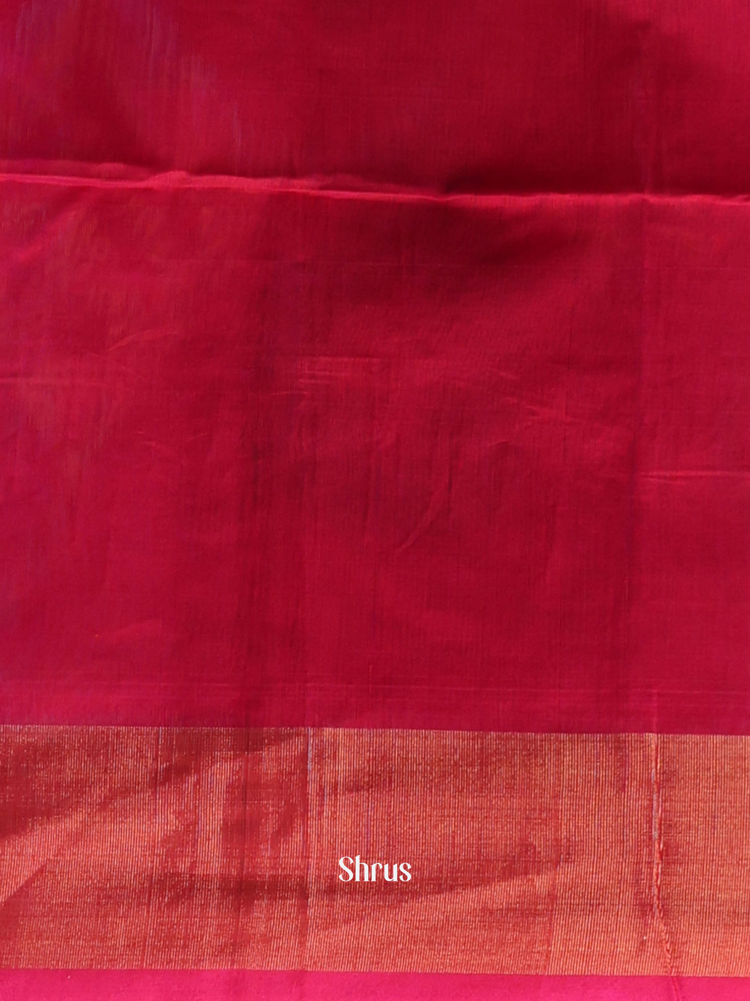 CJS09911 - Pochampally sico Saree - Shop on Shrus.com