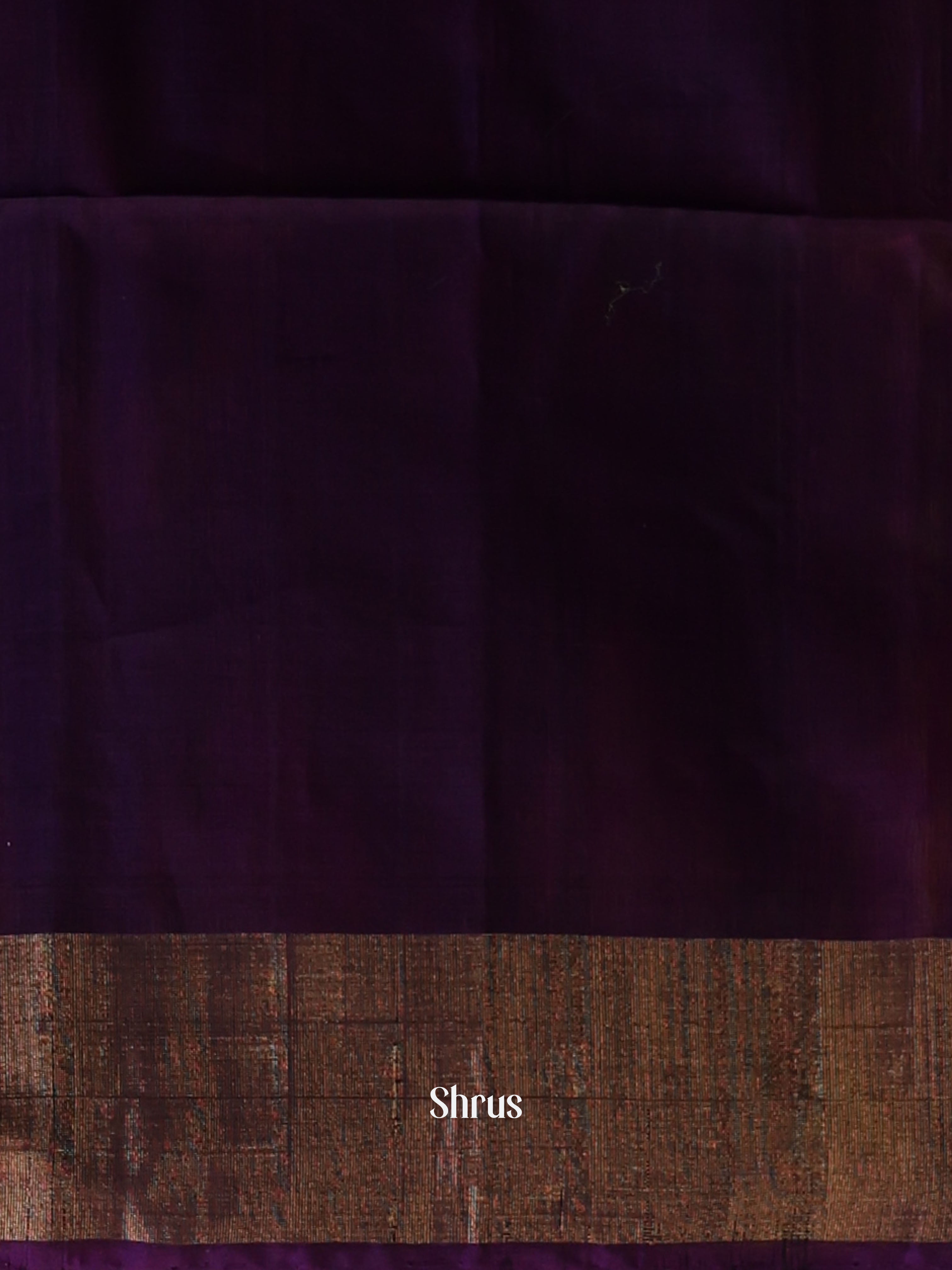 CJS09913 - Pochampally sico Saree - Shop on Shrus.com