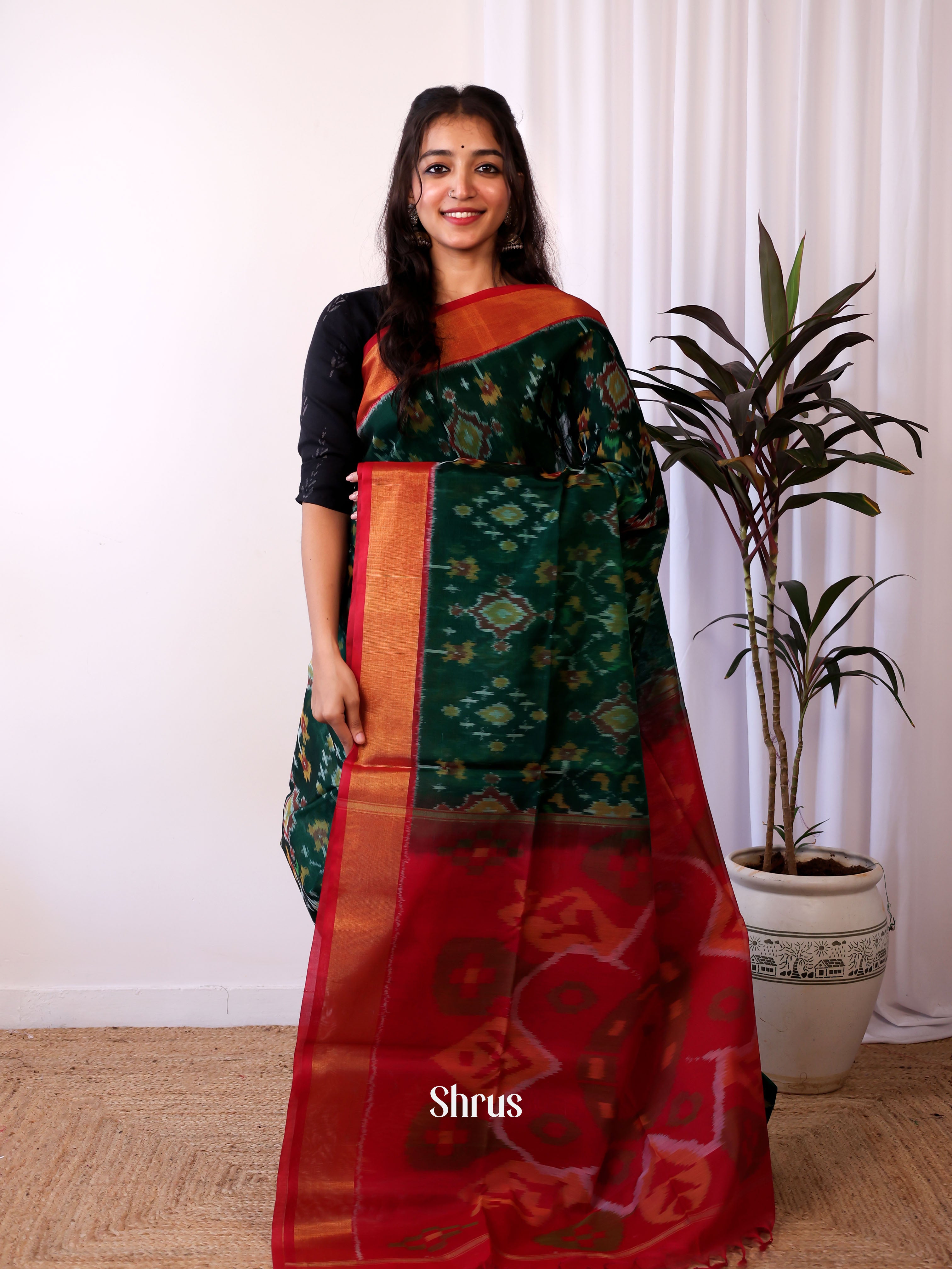 CJS09915 - Pochampally sico Saree - Shop on Shrus.com