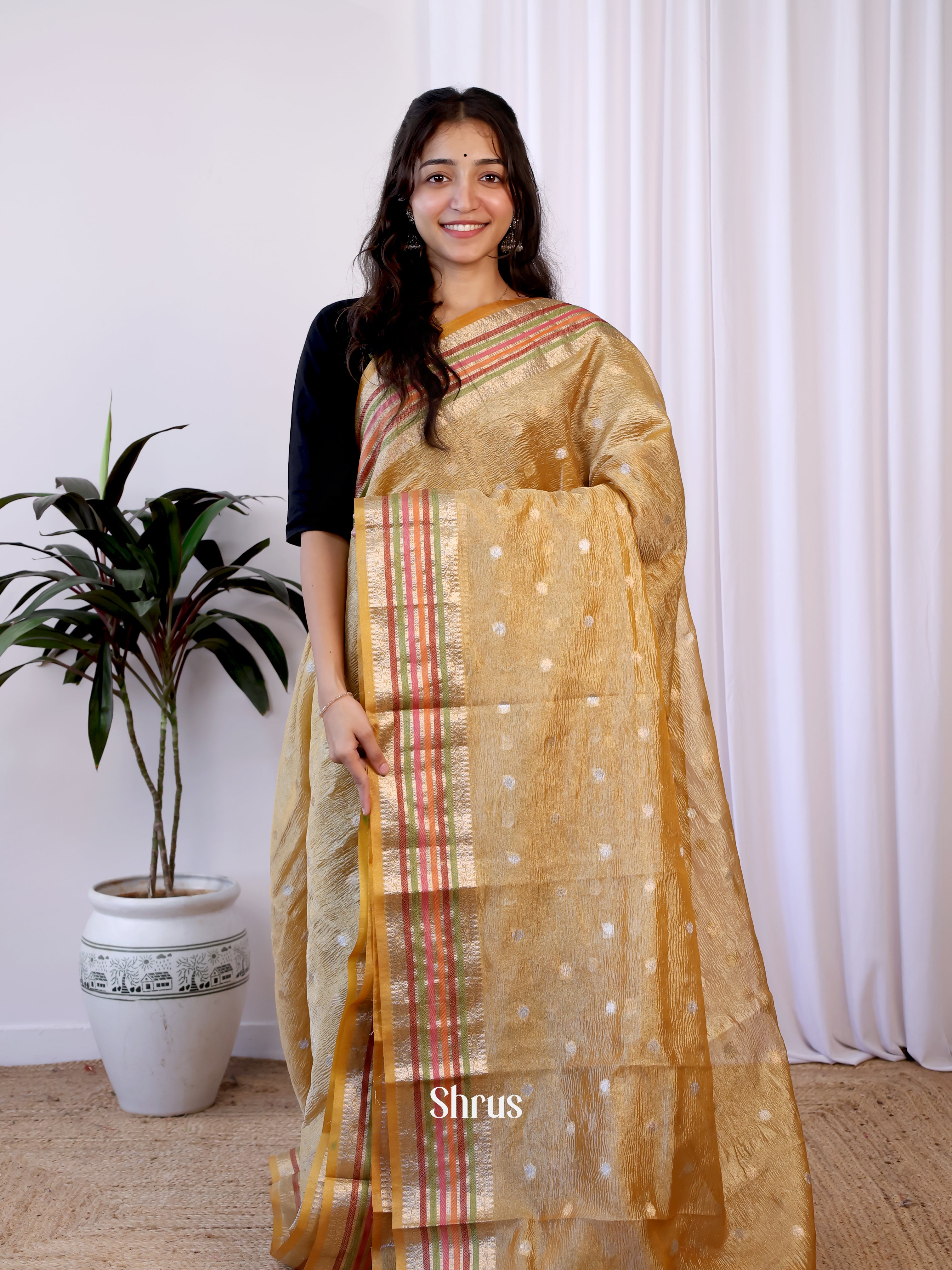 GOld - Bamboo silk Saree - Shop on Shrus.com