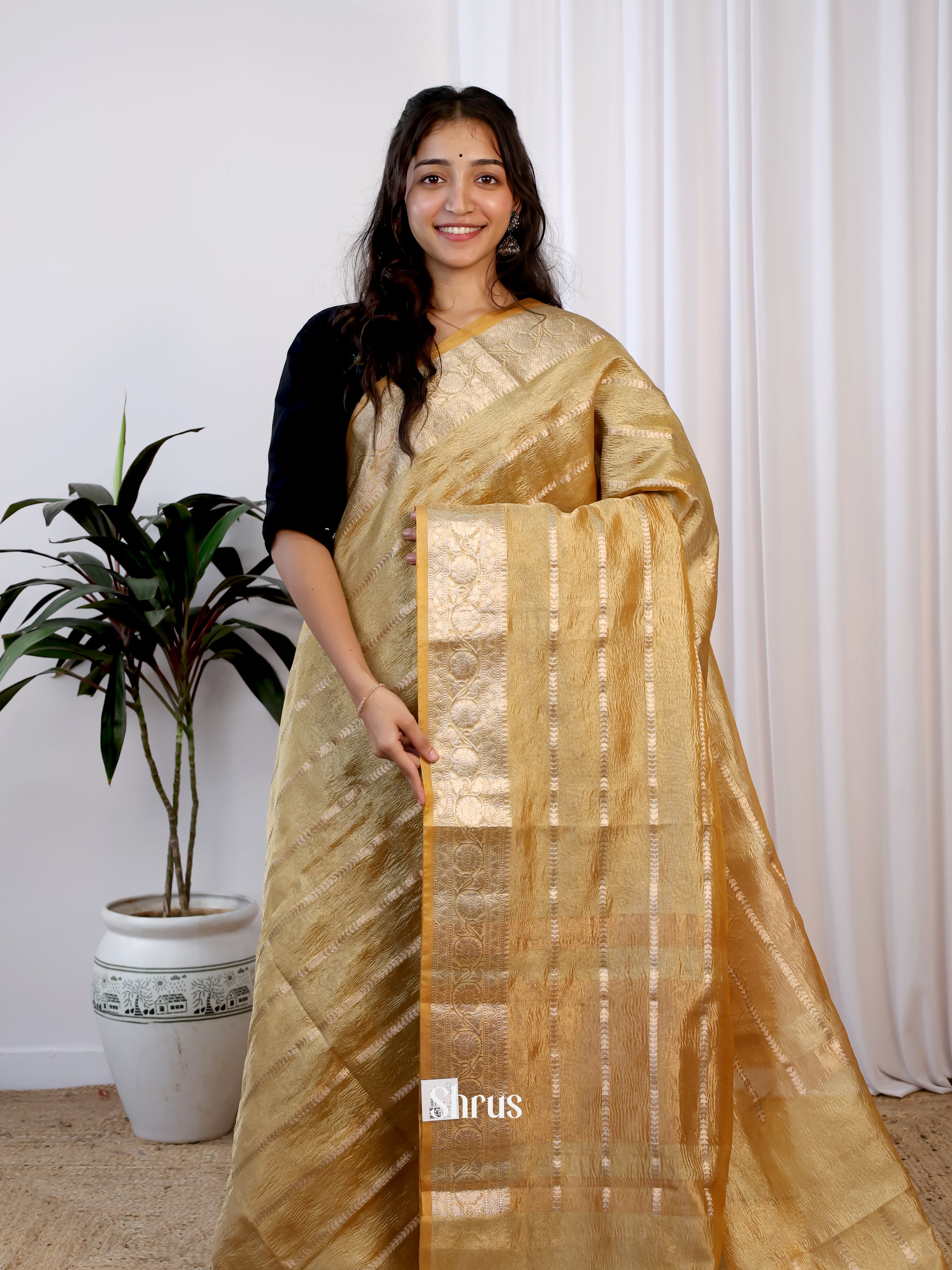 Gold - Bamboo silk Saree - Shop on Shrus.com