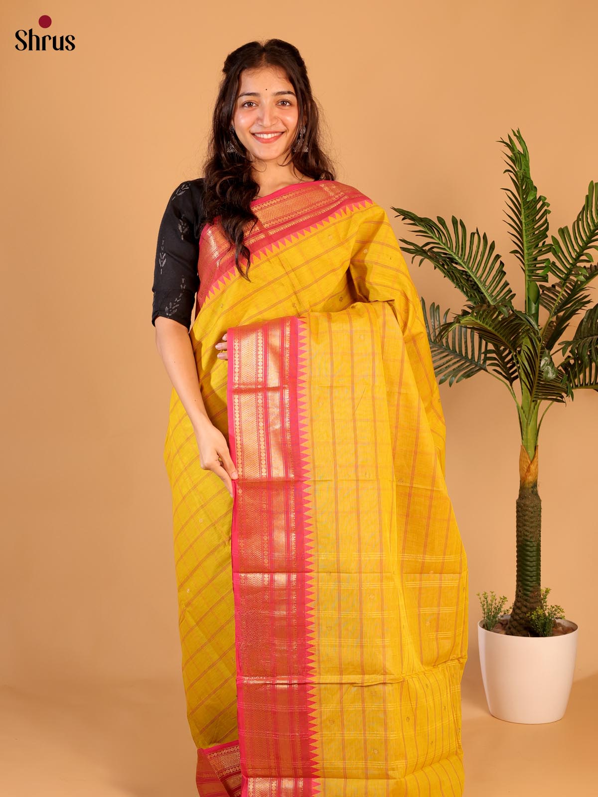 Yellow & Pink - Chettinad Cotton Saree - Shop on Shrus.com