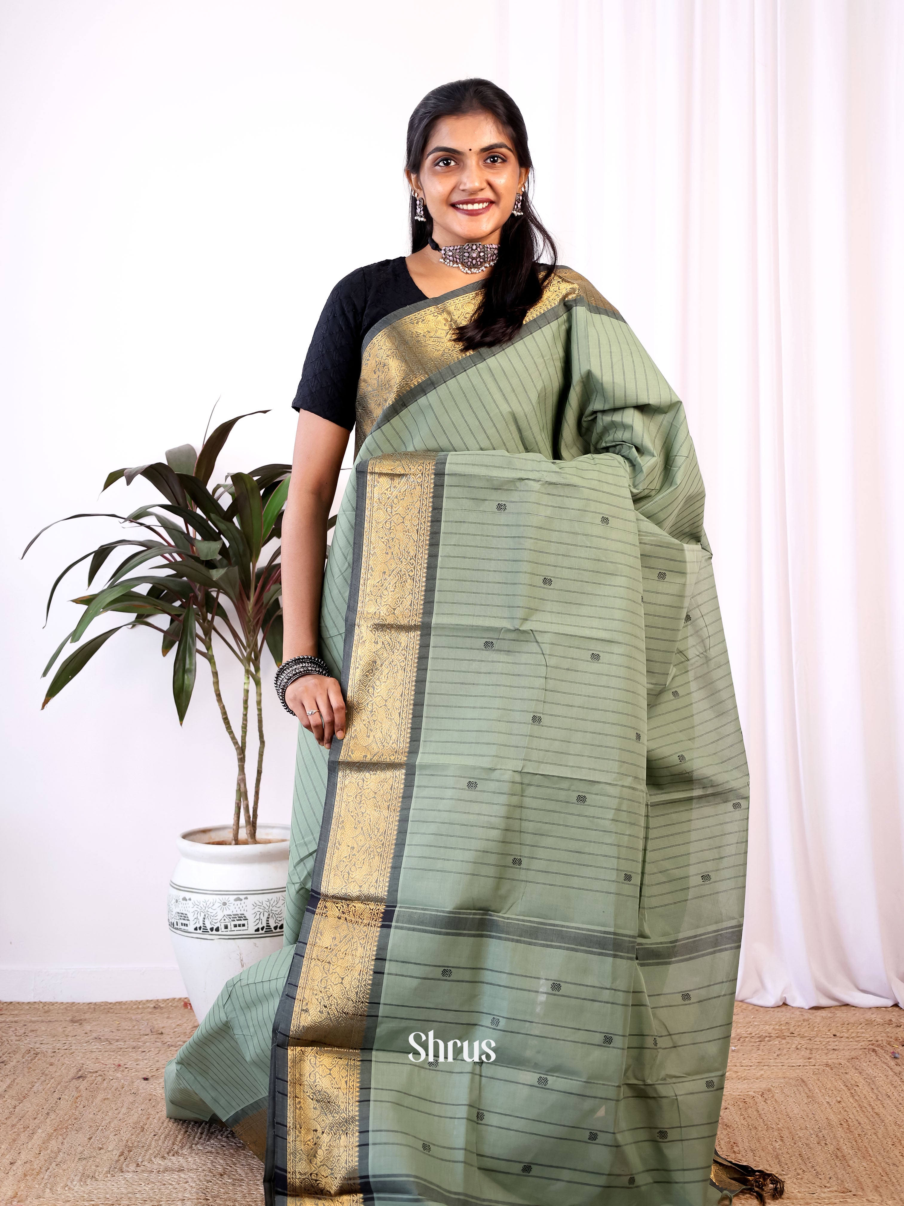 Pastel Green & Grey - Chettinad Cotton Saree - Shop on Shrus.com