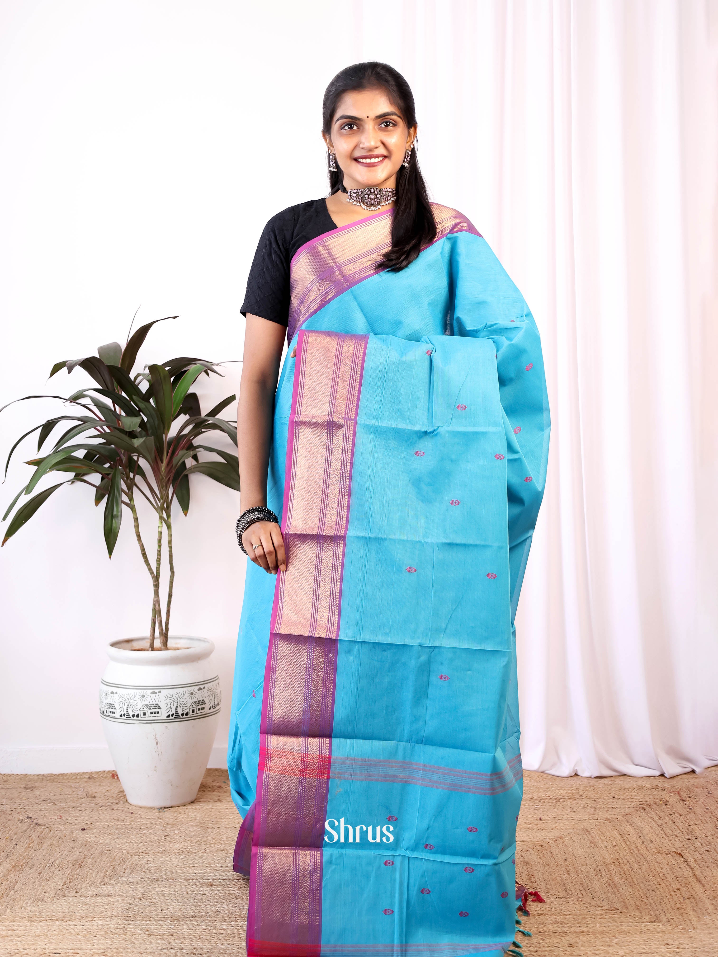 Blue & Purple - Chettinad Cotton Saree - Shop on Shrus.com