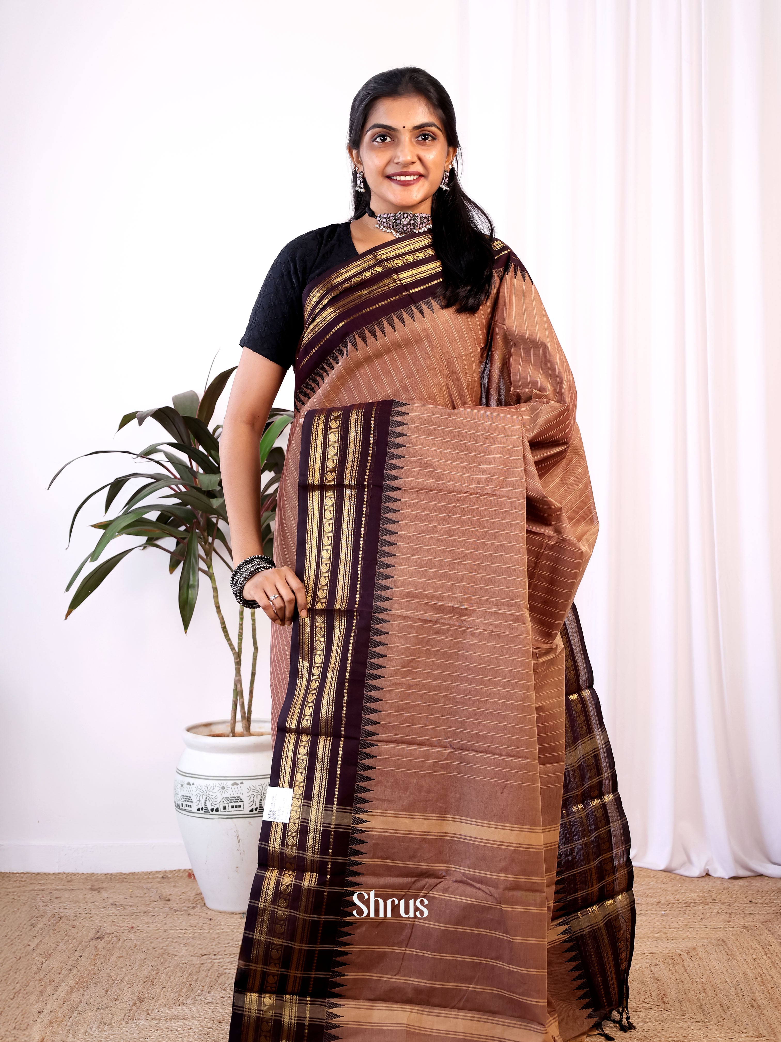 Brown & Coffee Brown - Chettinad Cotton Saree - Shop on Shrus.com