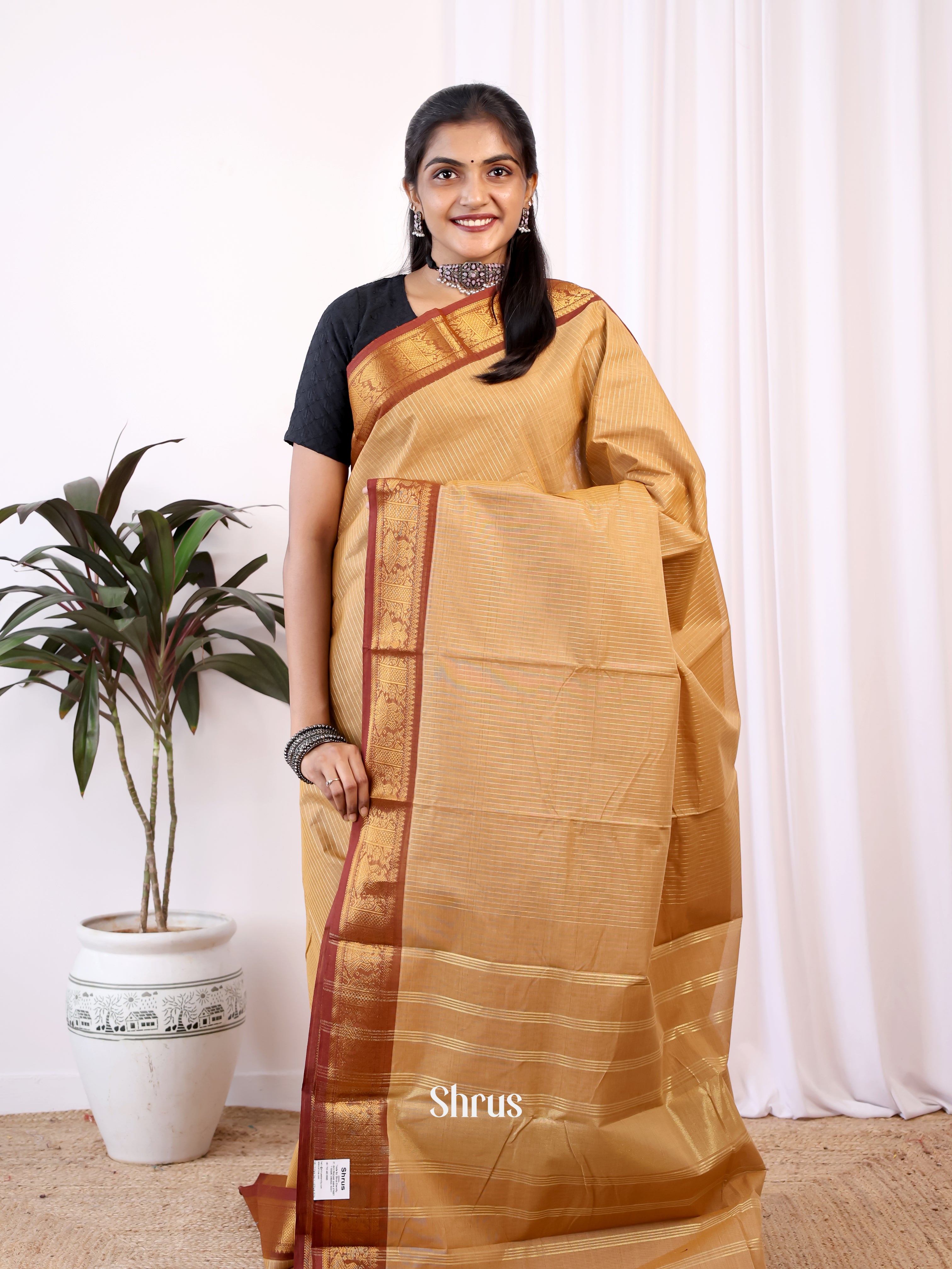 Lite Brown & Brown - Chettinad Cotton Saree - Shop on Shrus.com