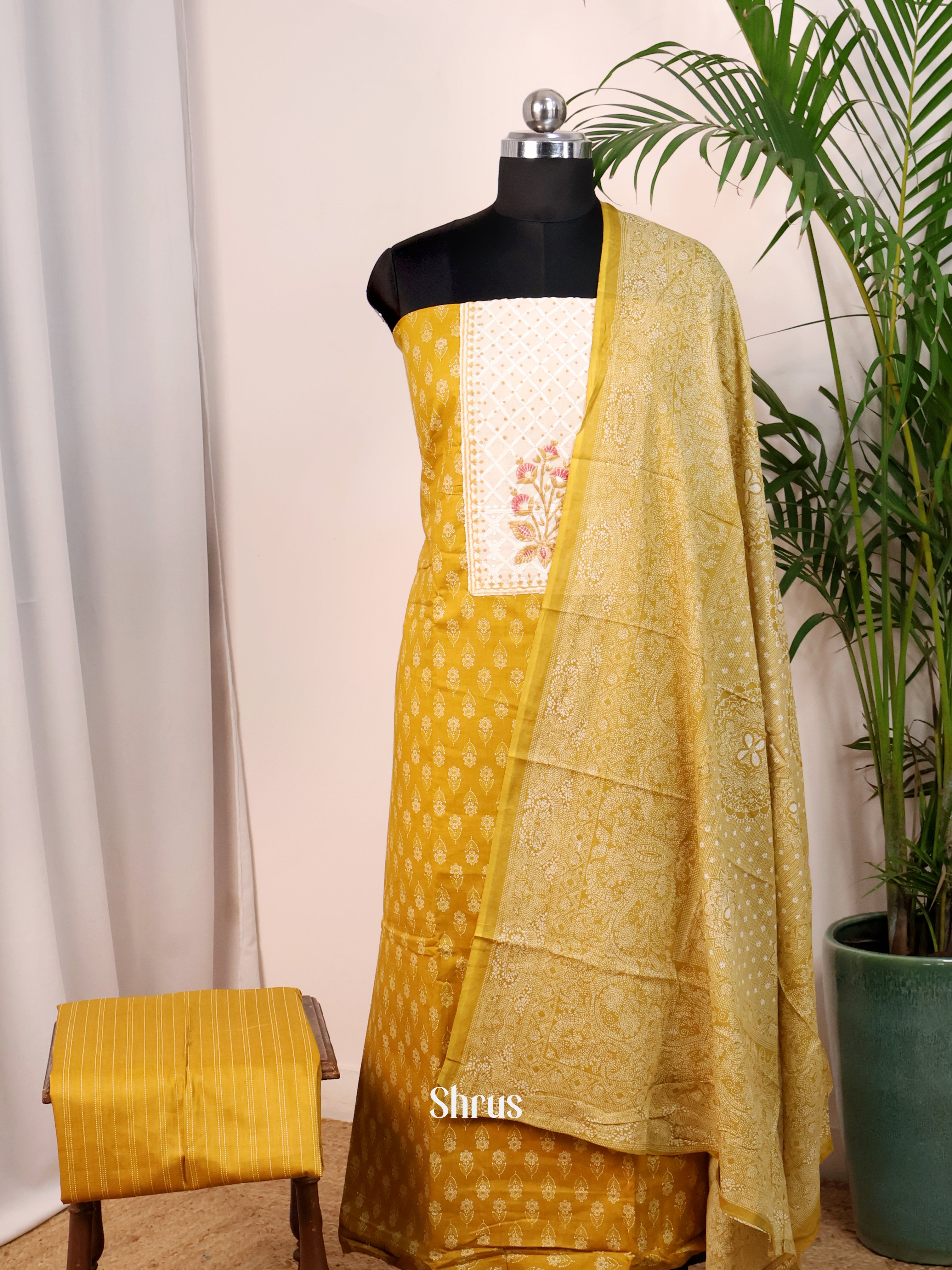 Mustard & Cream- Cotton salwar - Shop on Shrus.com