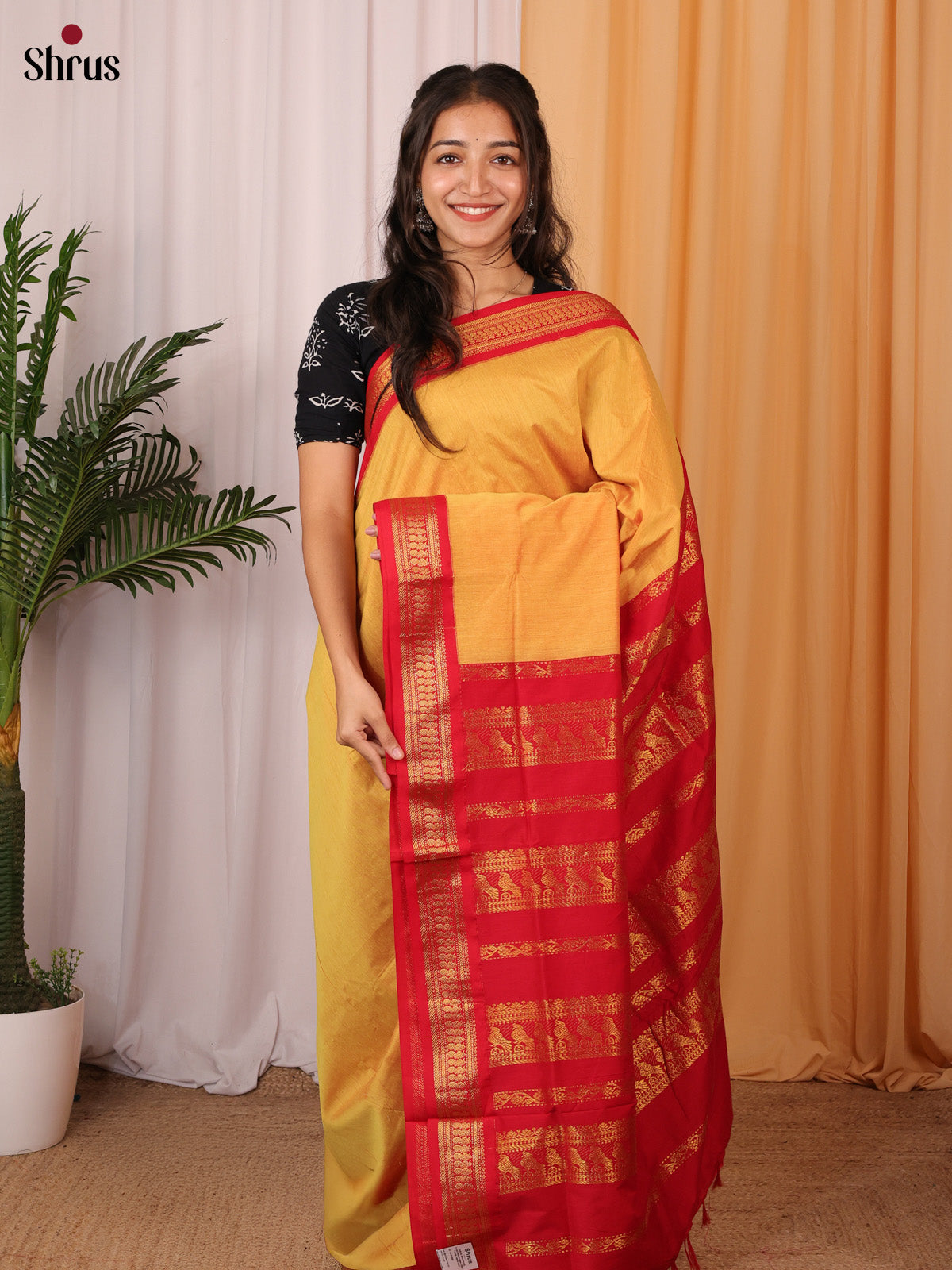 Mustard & Red - Kalyani Cotton Saree - Shop on Shrus.com