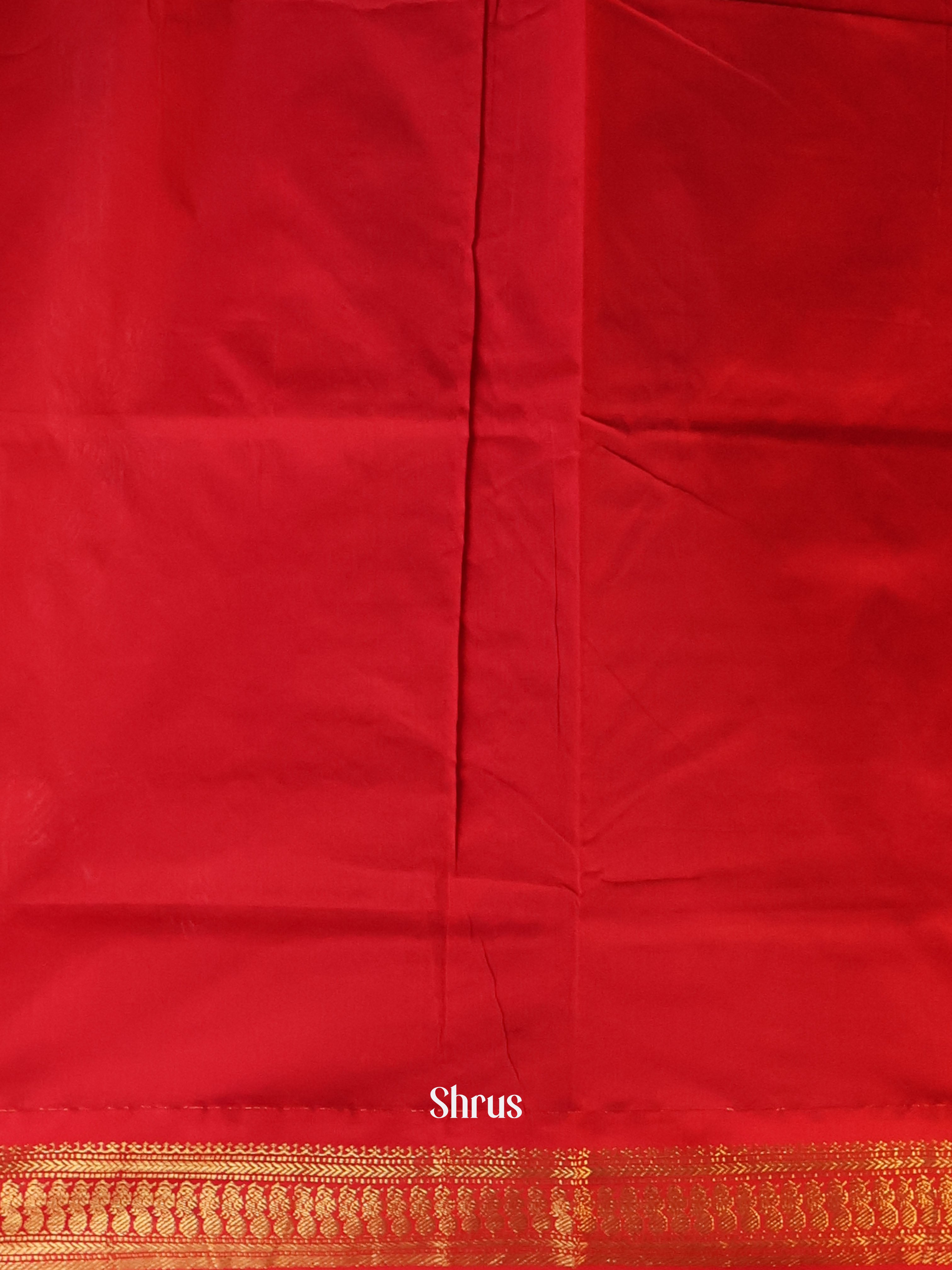 Yellow & Red - Kalyani Cotton Saree - Shop on Shrus.com