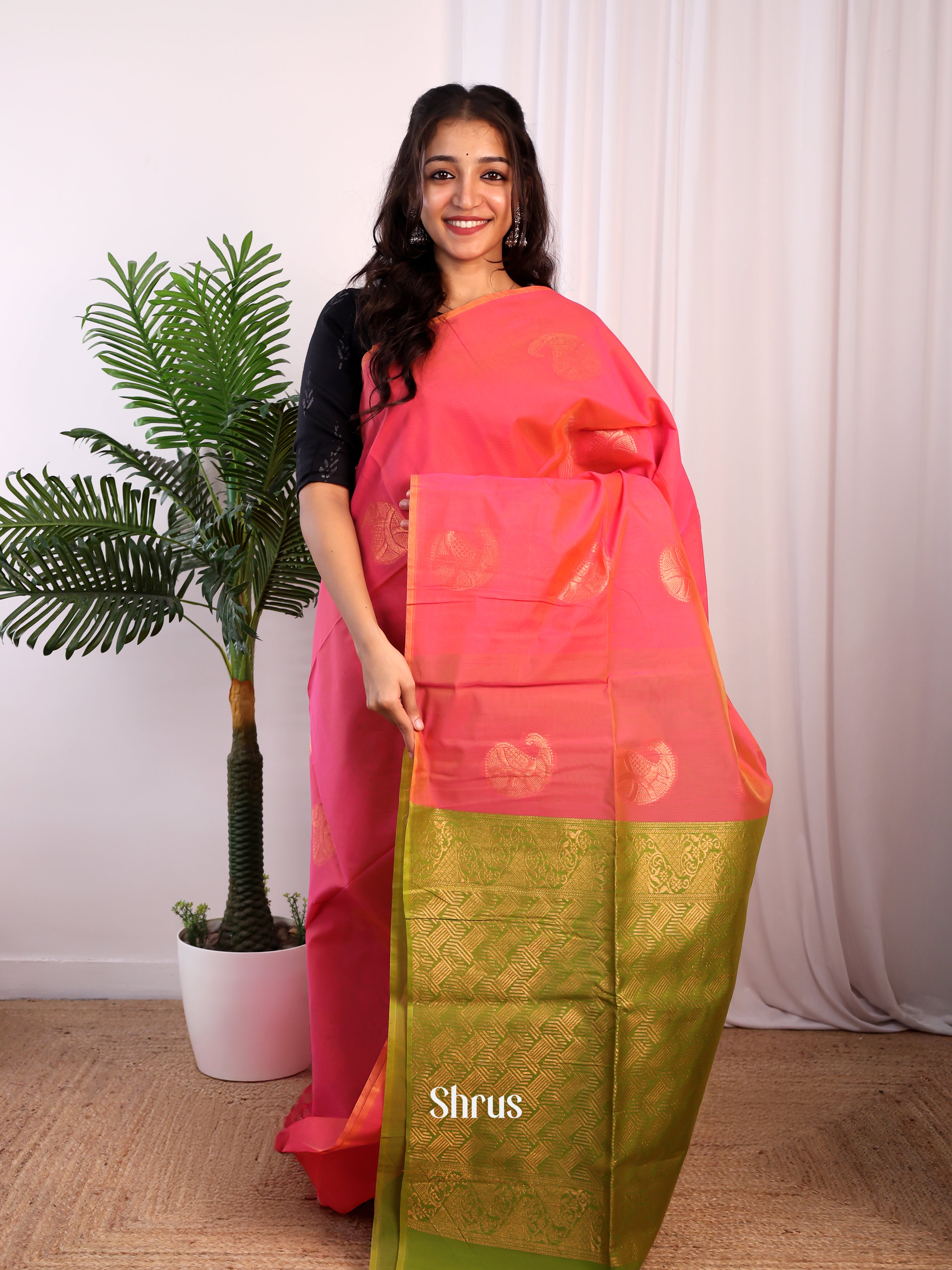 CJS17113 - Semi Silkcotton Saree - Shop on Shrus.com