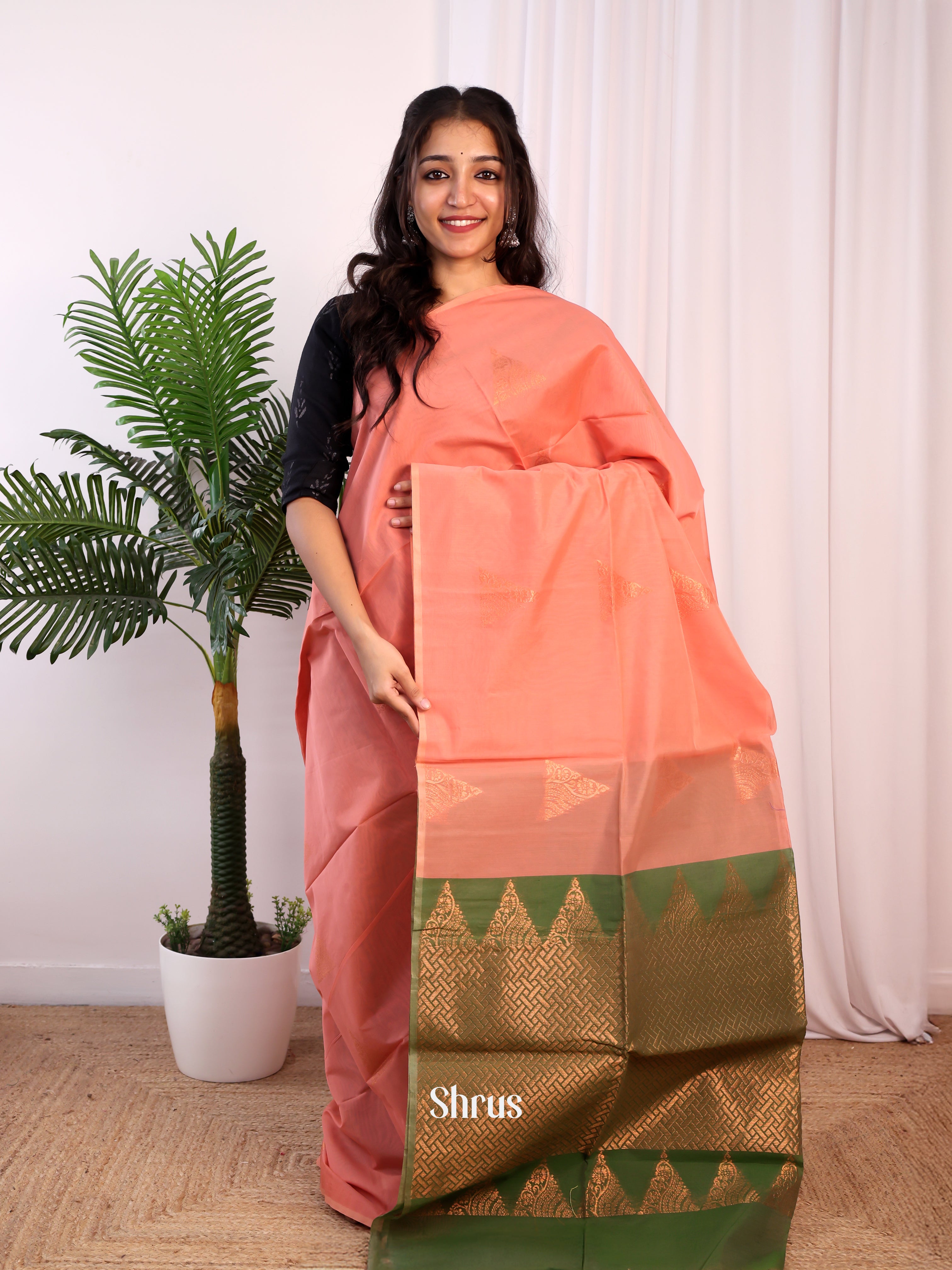 CJS17173 - Semi Silkcotton Saree - Shop on Shrus.com