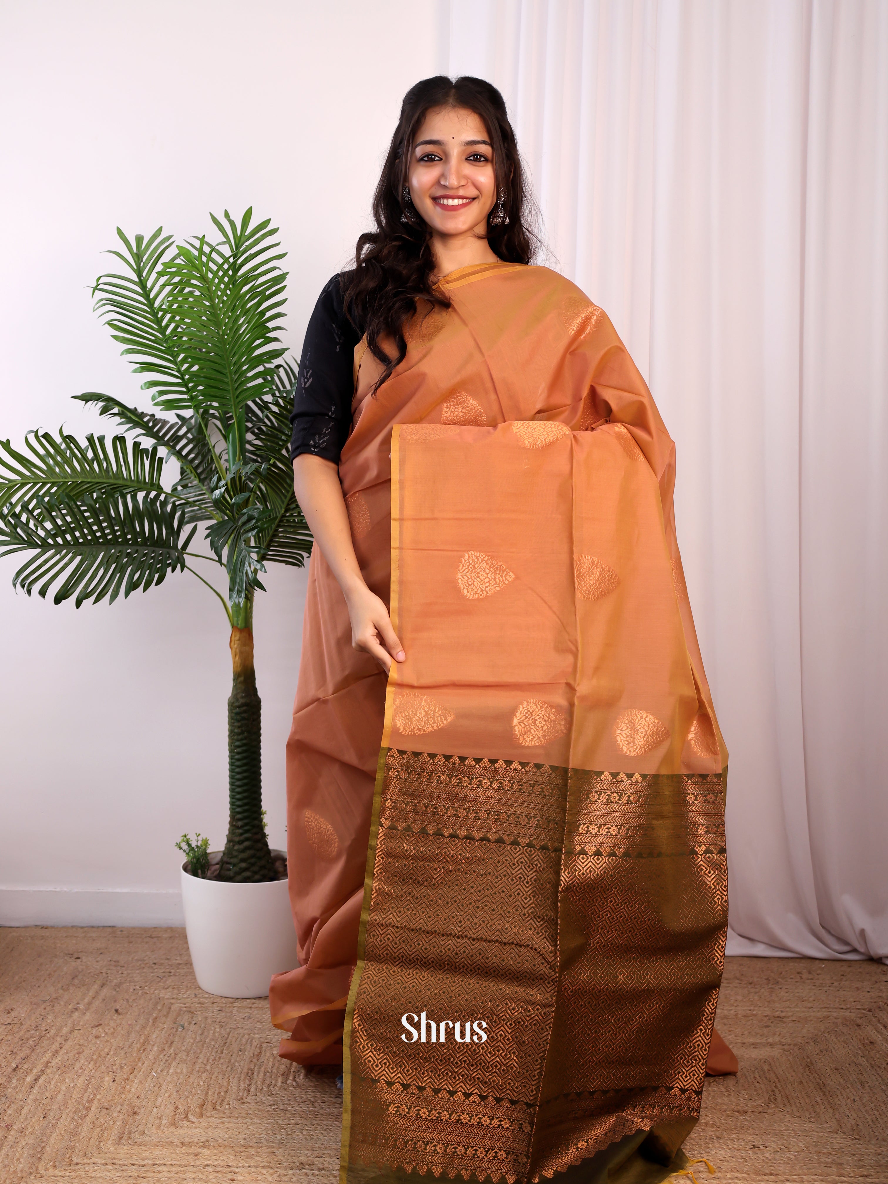CJS17178 - Semi Silkcotton Saree - Shop on Shrus.com