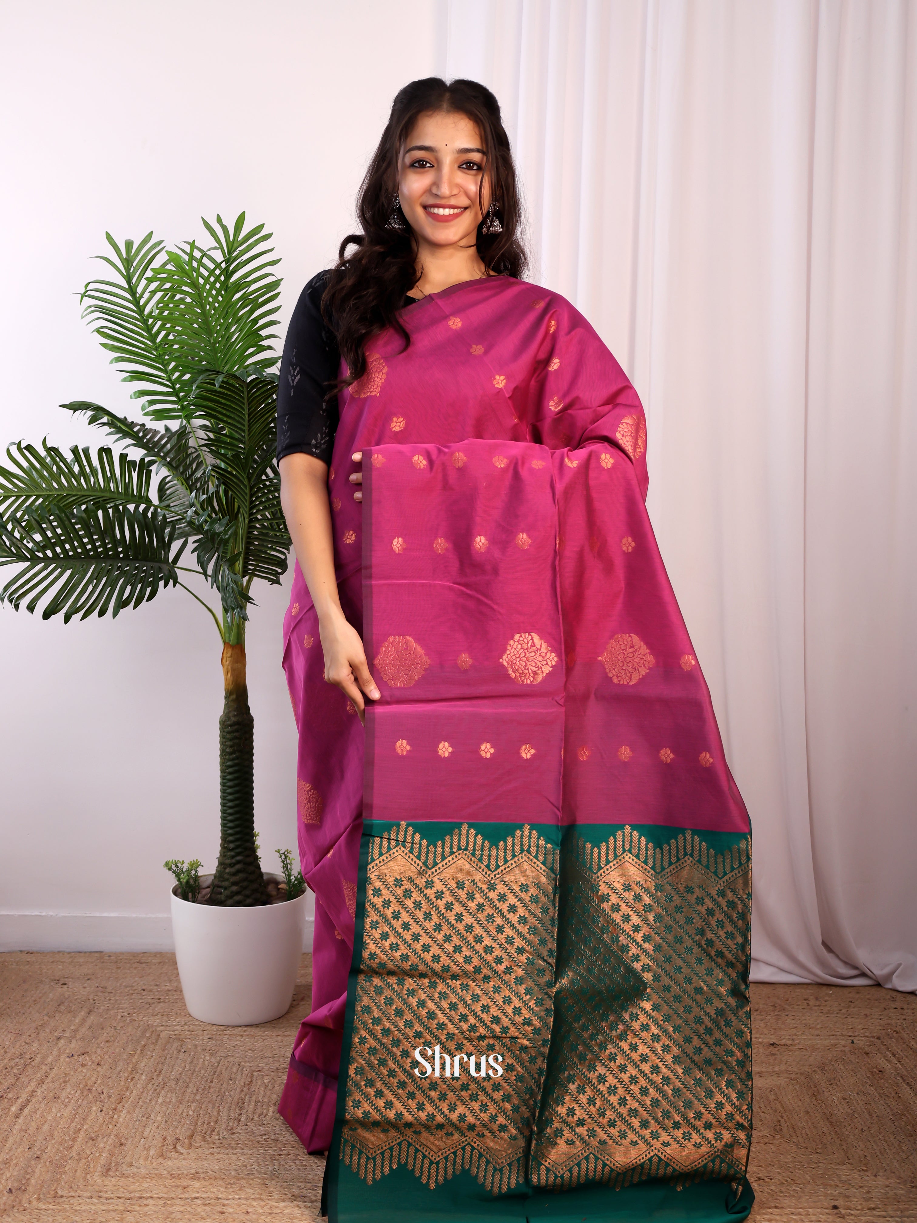 CJS17187 - Semi Silkcotton Saree - Shop on Shrus.com