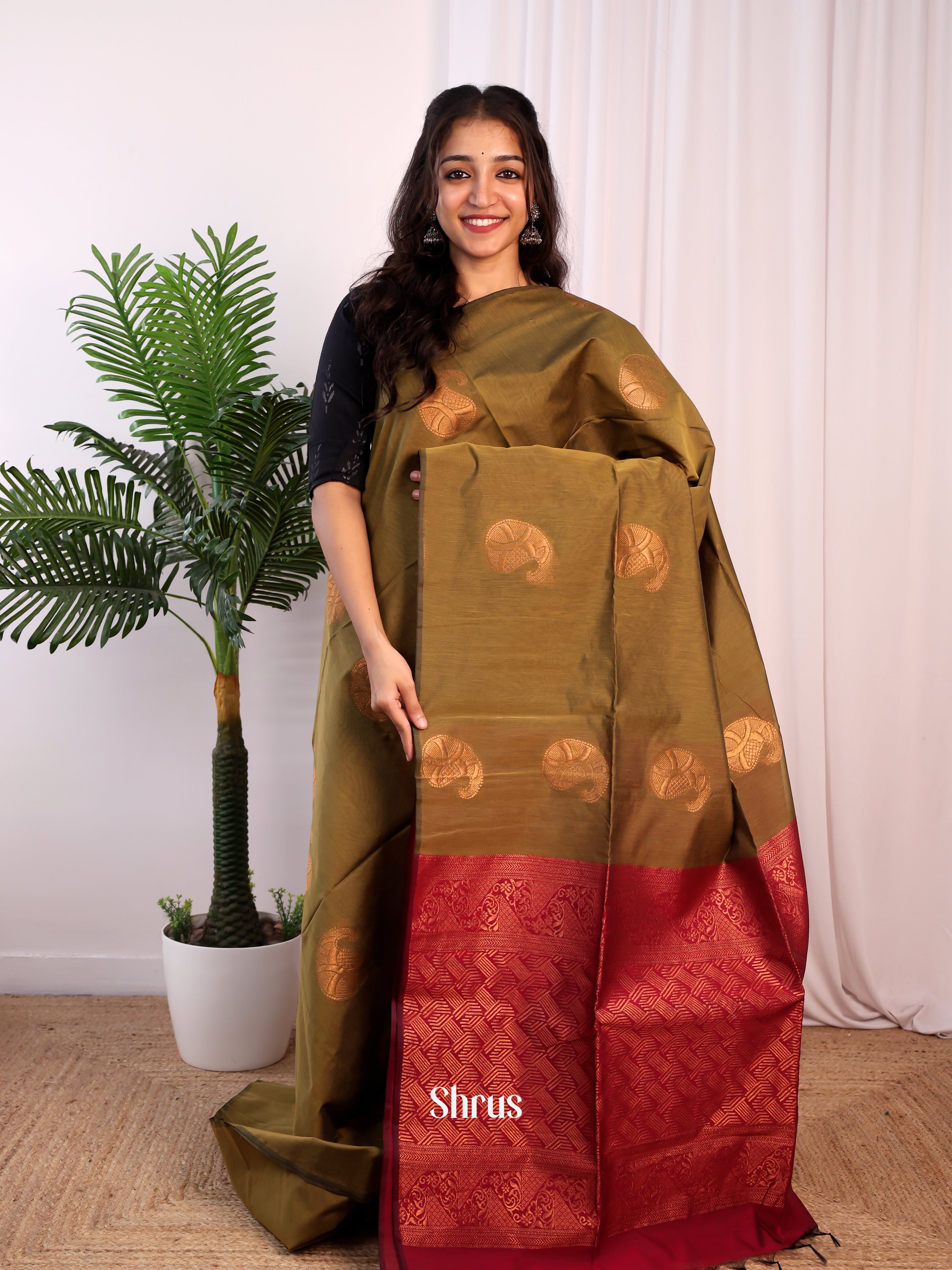 Olive Green & Maroon - Semi Silkcotton Saree - Shop on Shrus.com