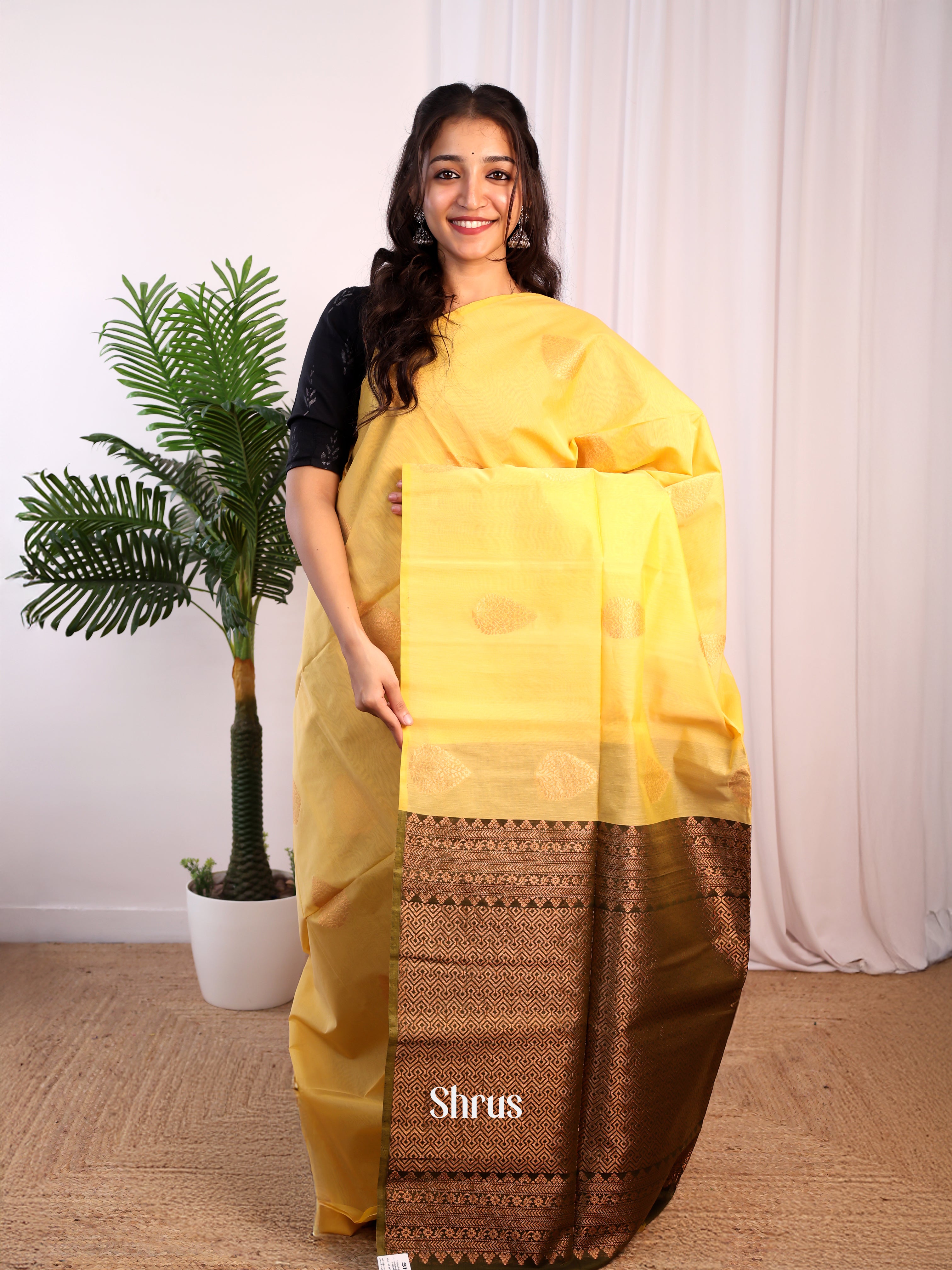 CJS17247 - Semi Silkcotton Saree - Shop on Shrus.com