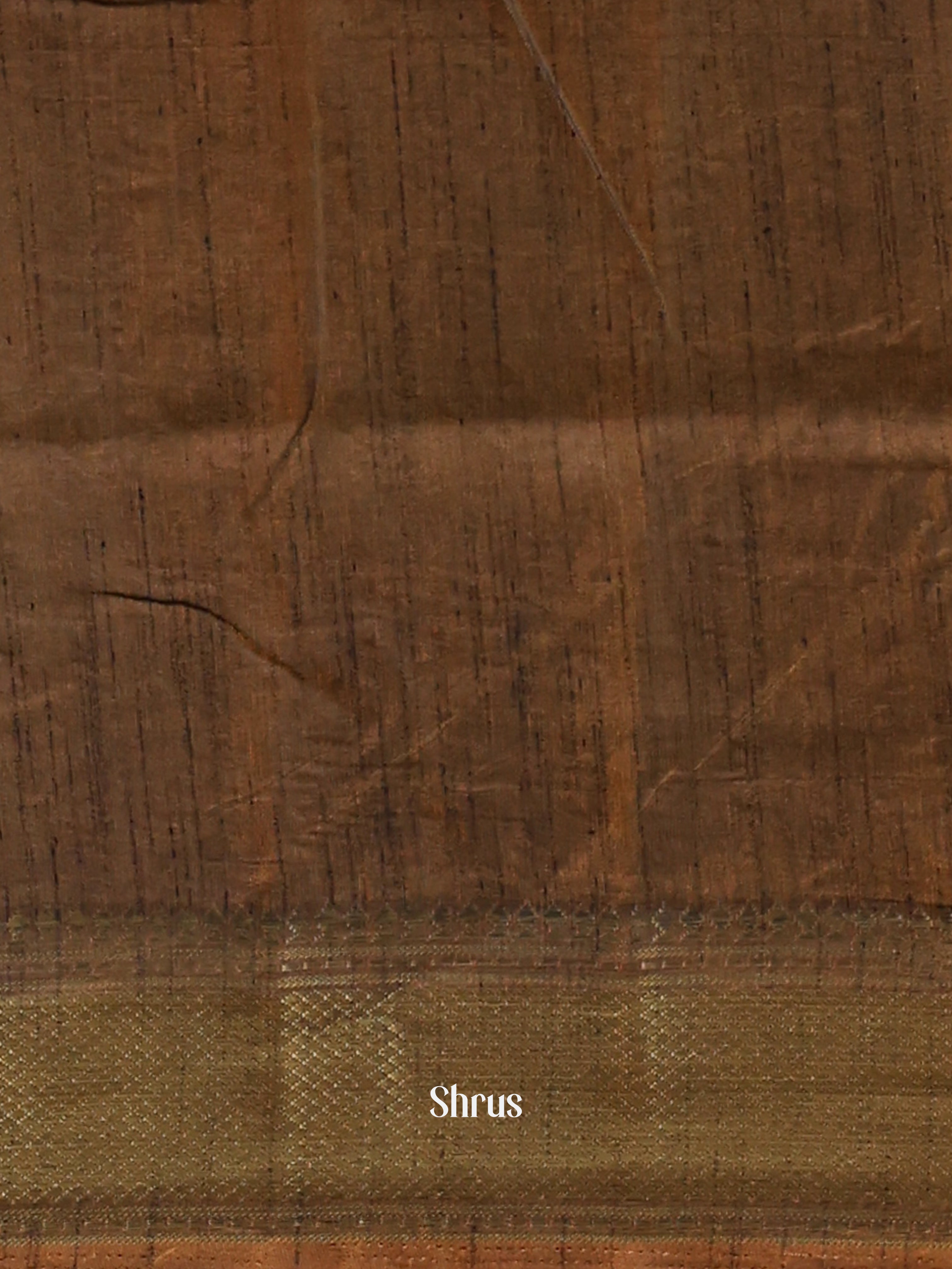 Brown - Semi Patola Saree - Shop on Shrus.com