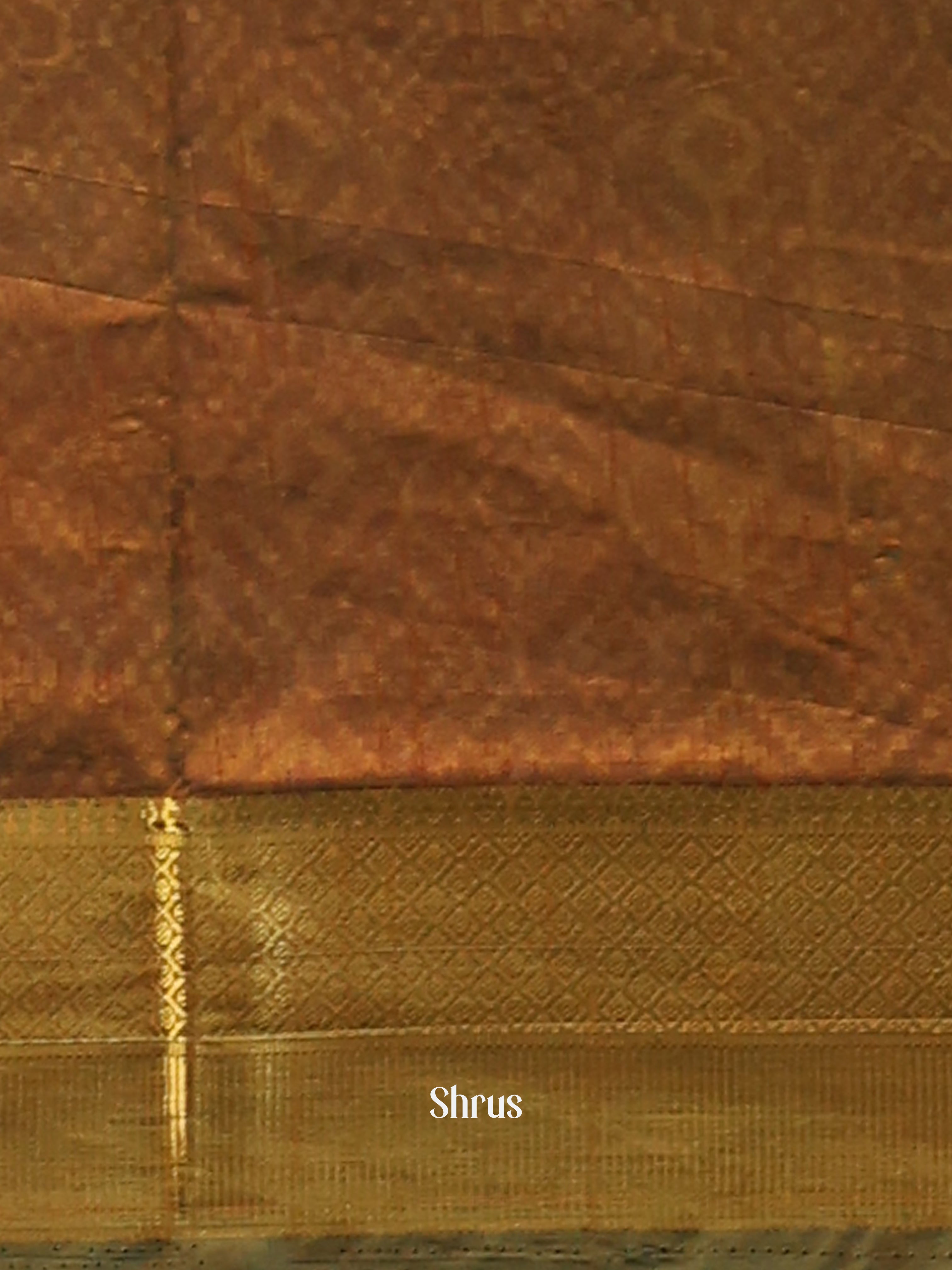 Blue & Green - Semi Patola Saree - Shop on Shrus.com