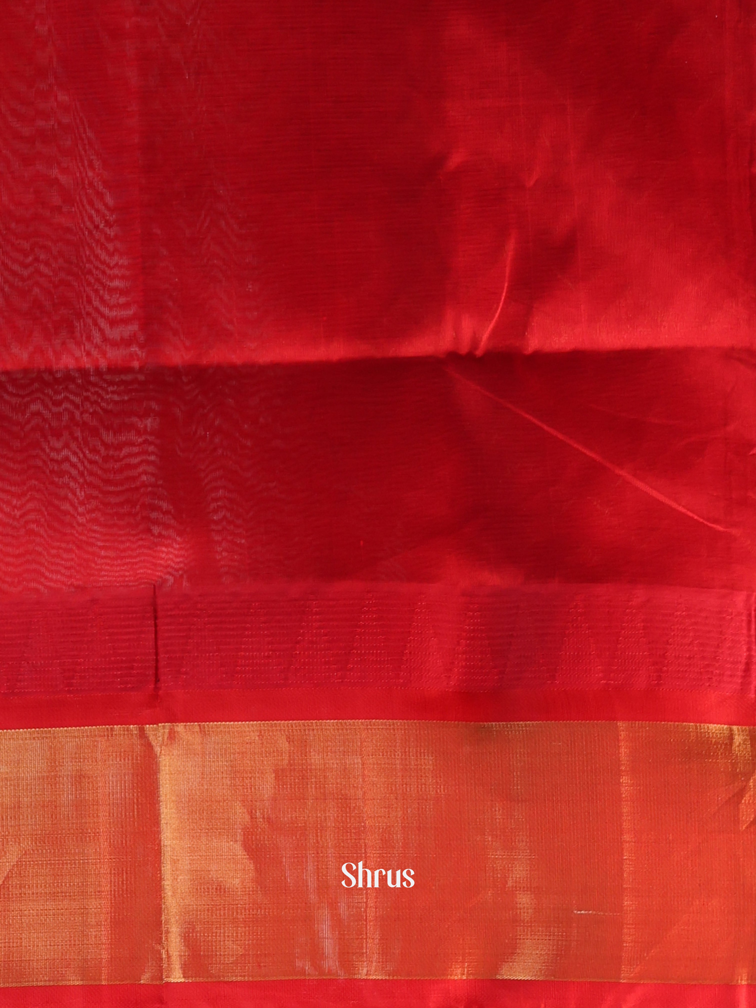 Blue & Red - Silk Cotton Saree - Shop on Shrus.com