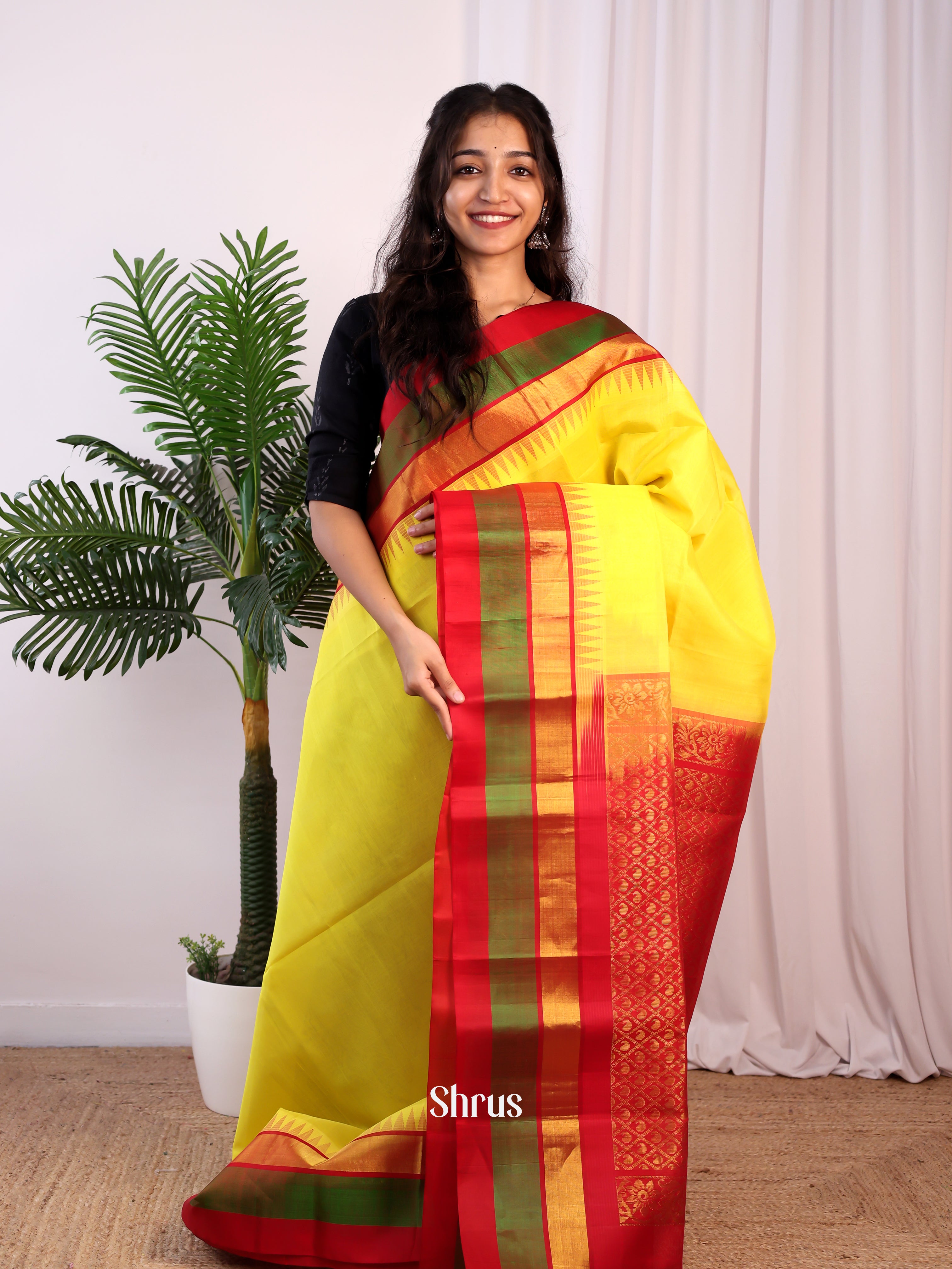Mustardy Green & Red- Silk Cotton Saree - Shop on Shrus.com