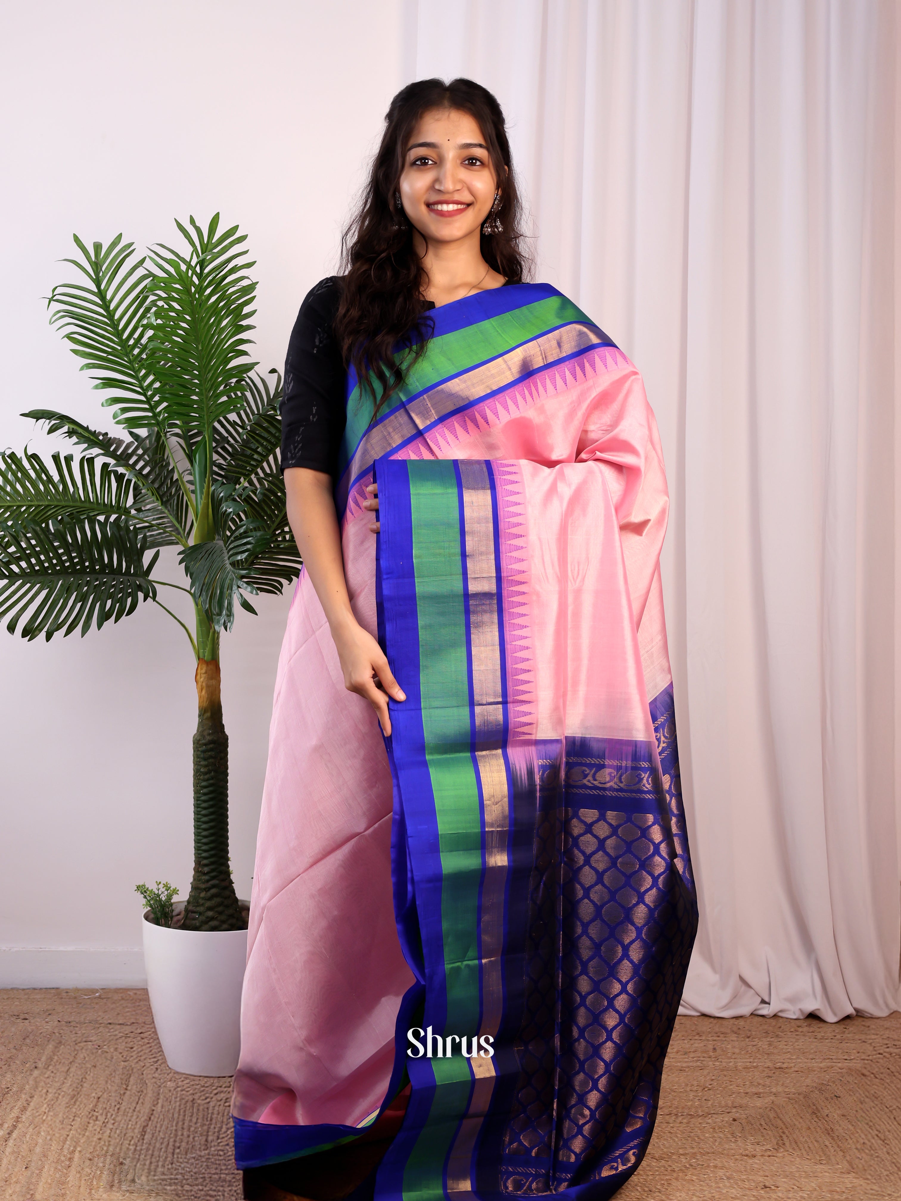 Pink & Blue - Silk Cotton Saree - Shop on Shrus.com