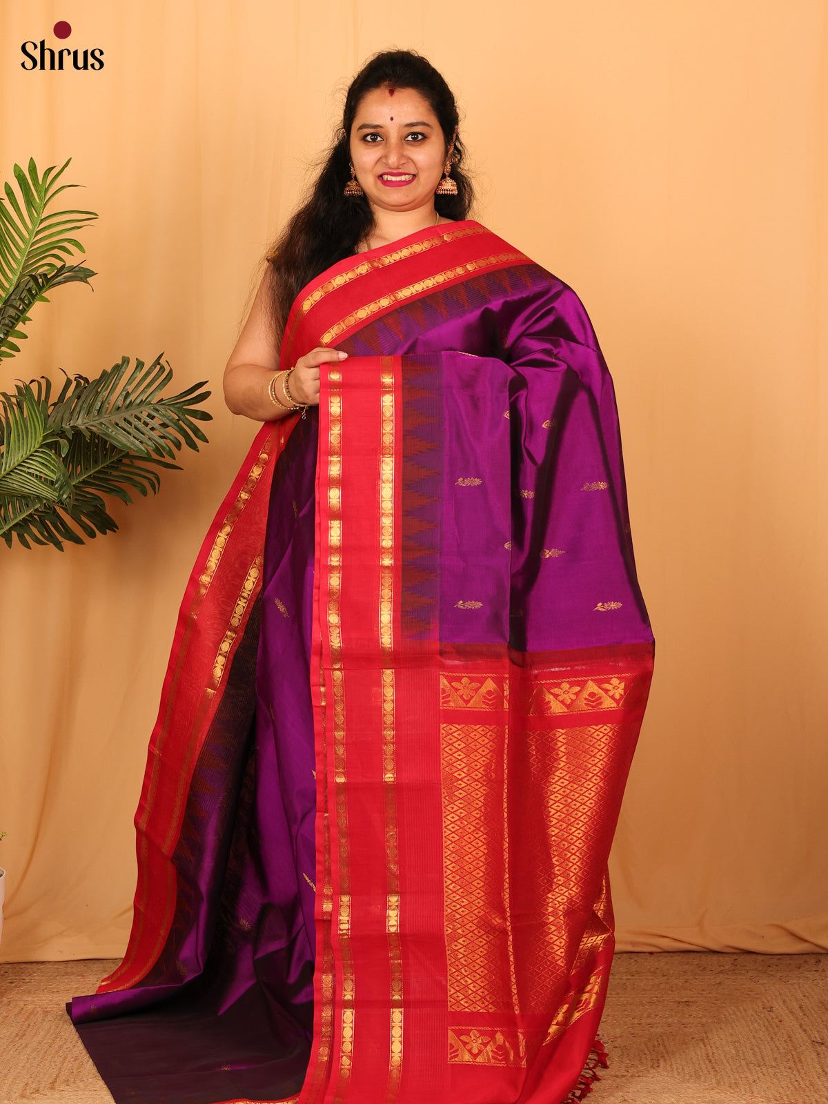 Violet & Red - Silk Cotton Saree - Shop on Shrus.com