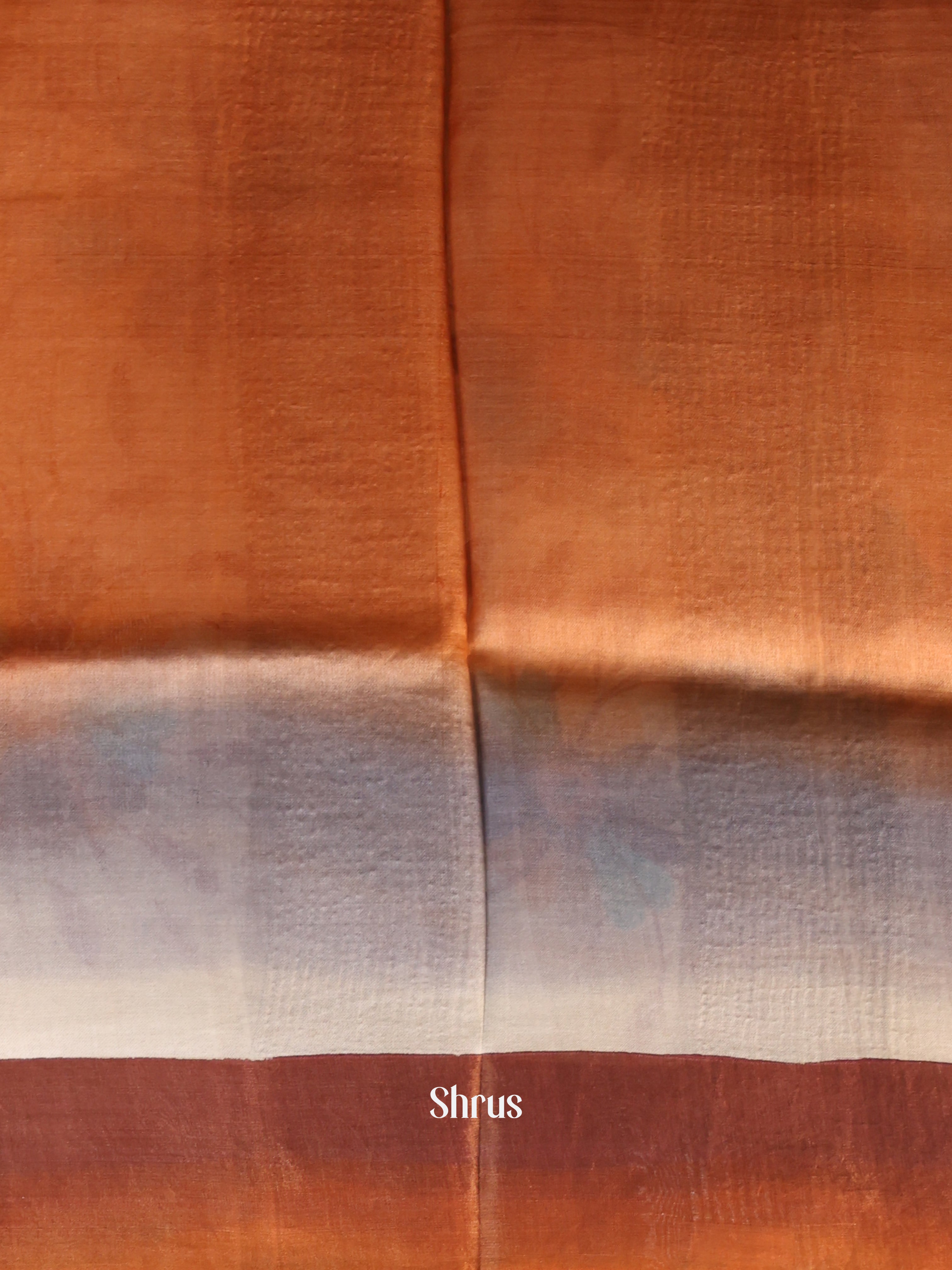 Cream & Grey - Tussar Saree - Shop on Shrus.com
