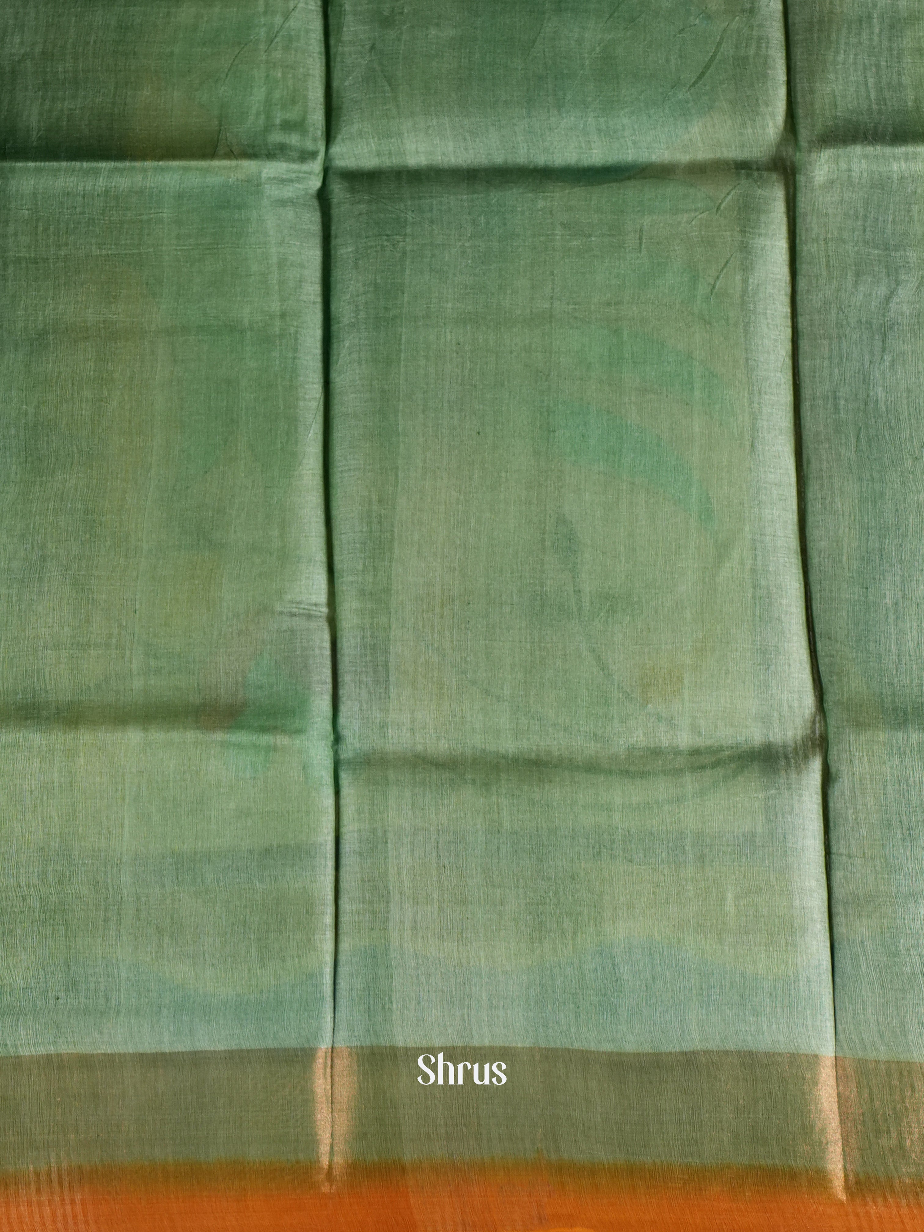 Green & Cream designed - Tussar Saree -1