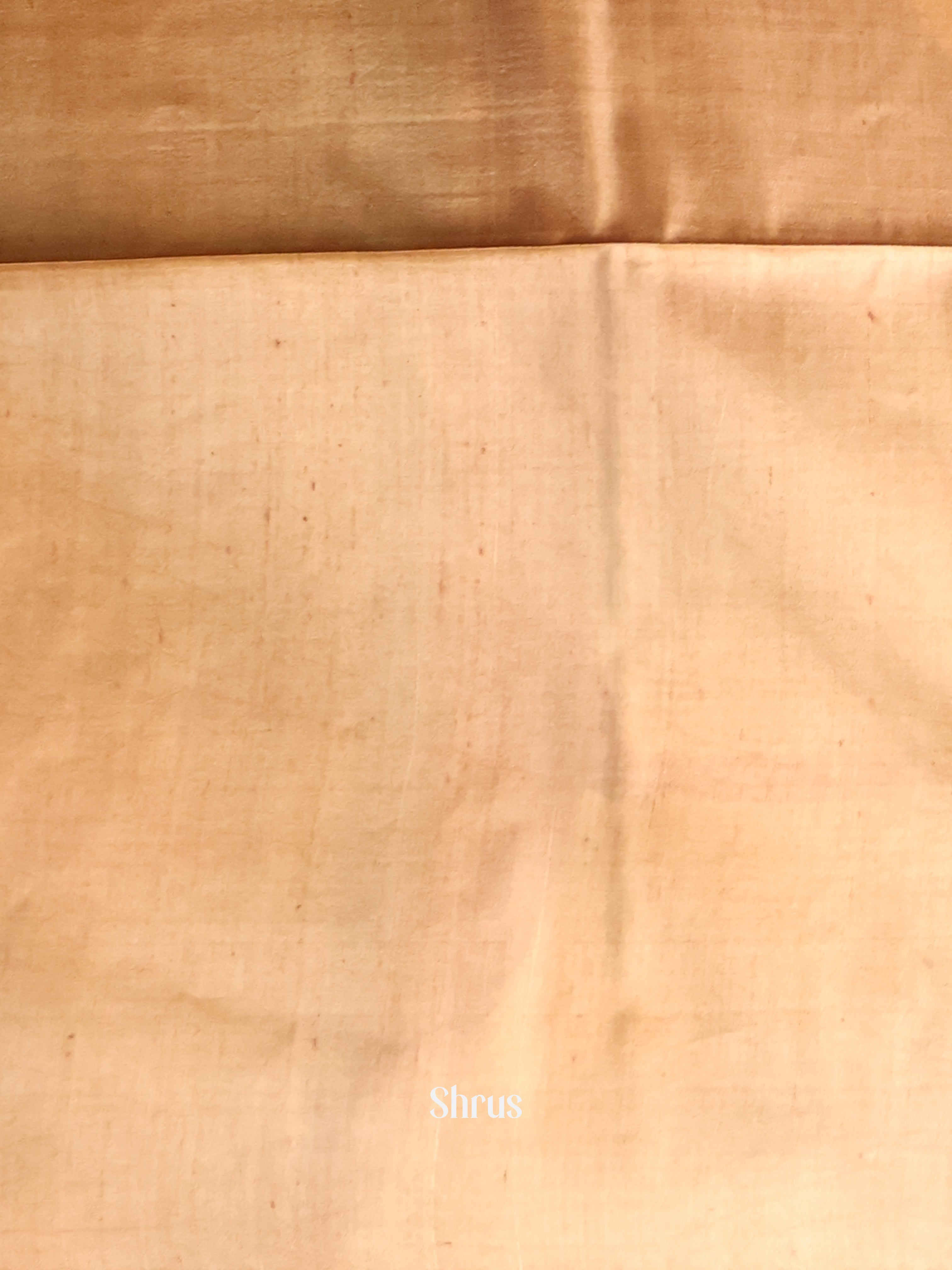 Lite Blue & Brown - Murshidabad Silk Saree - Shop on Shrus.com