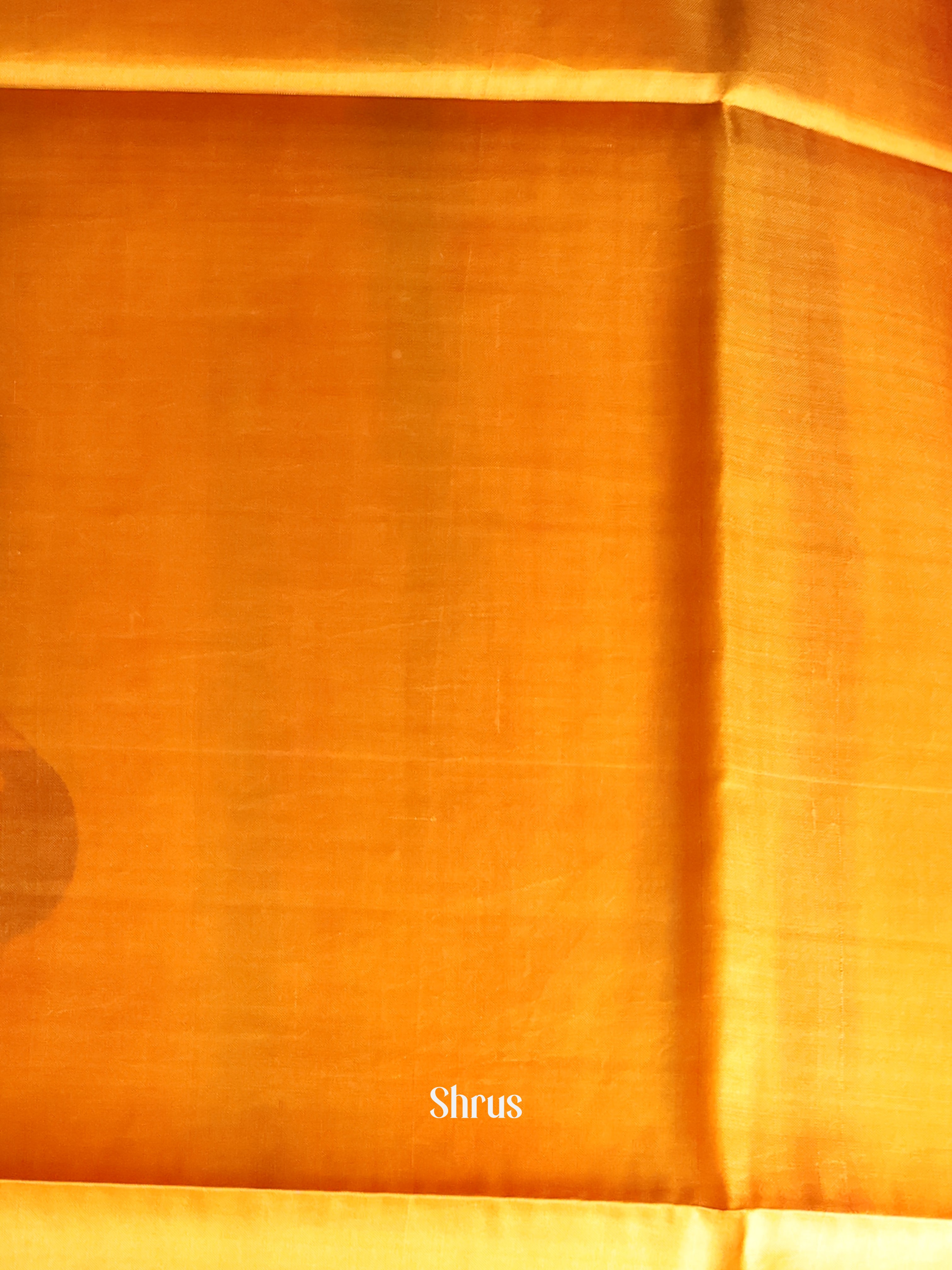 Mustard & Cream - Murshidabad Silk Saree - Shop on Shrus.com