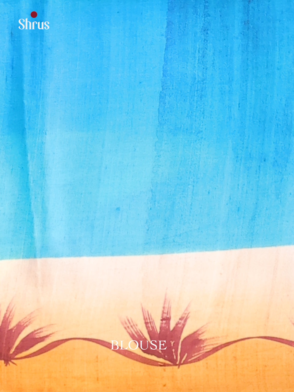 Pink & blue - Murshidabad Silk Saree-2
