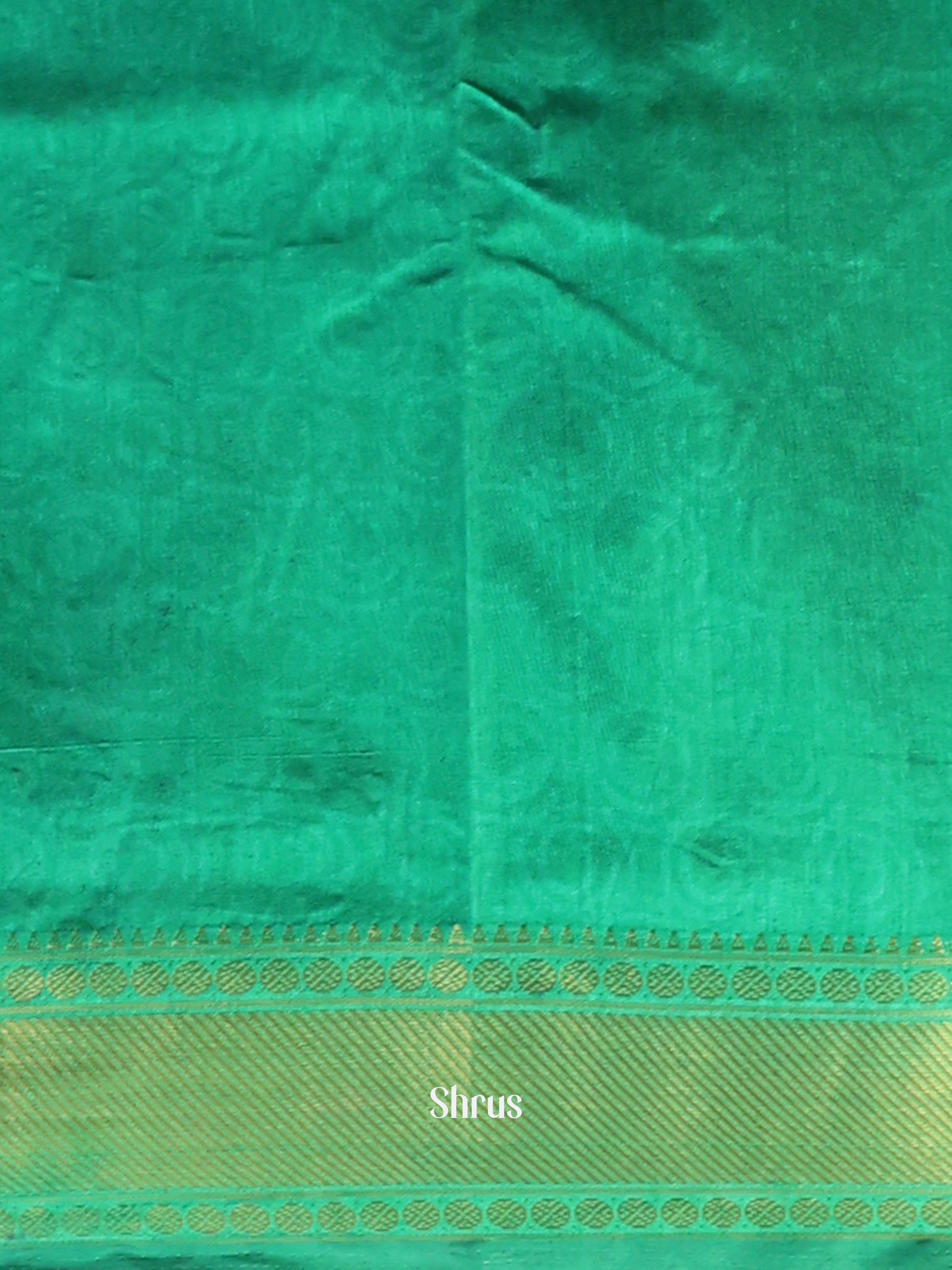 Green - Semi Patola Saree - Shop on Shrus.com