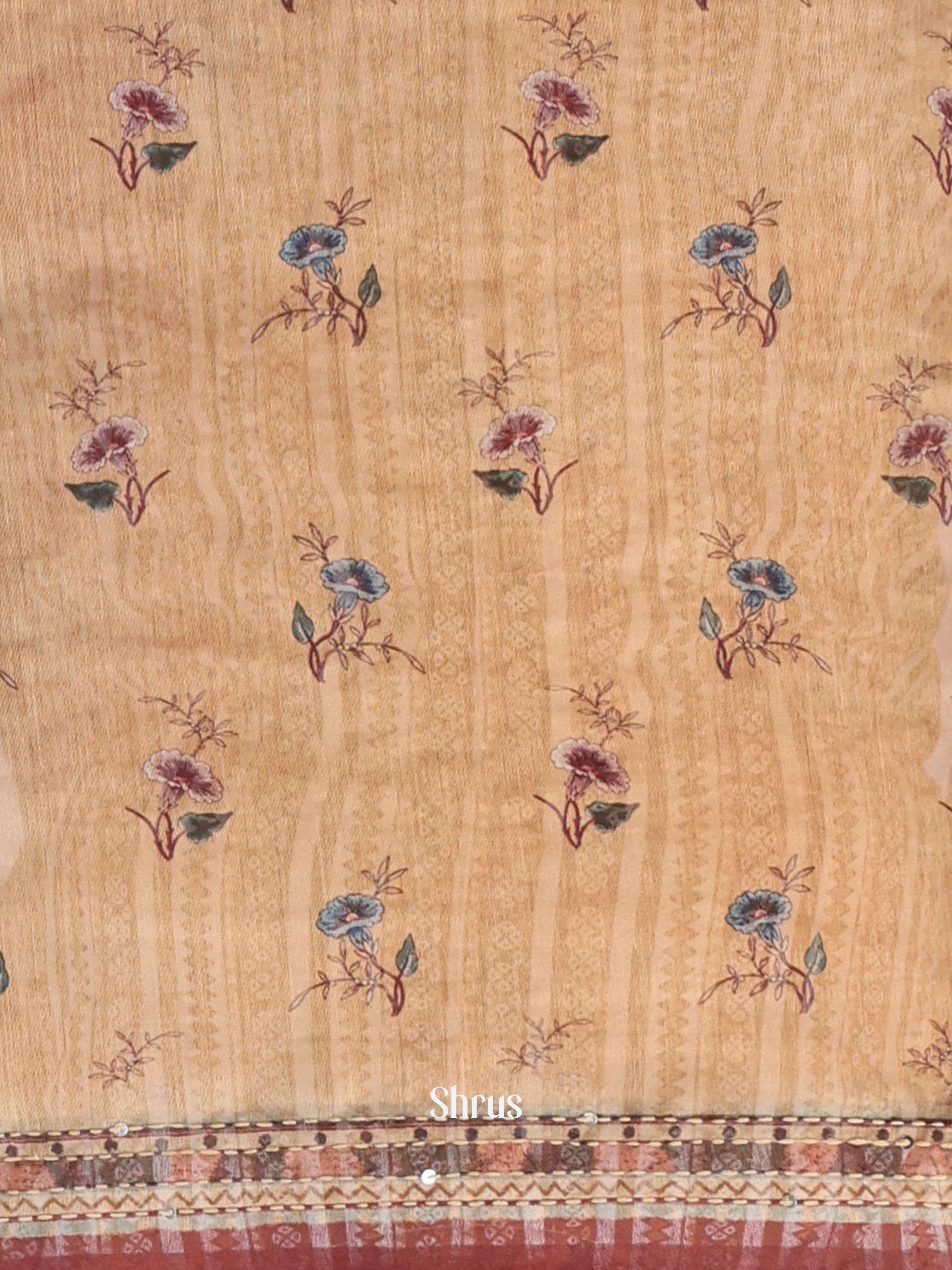 Lite Brown & Brown- Semi Kantha Saree - Shop on Shrus.com