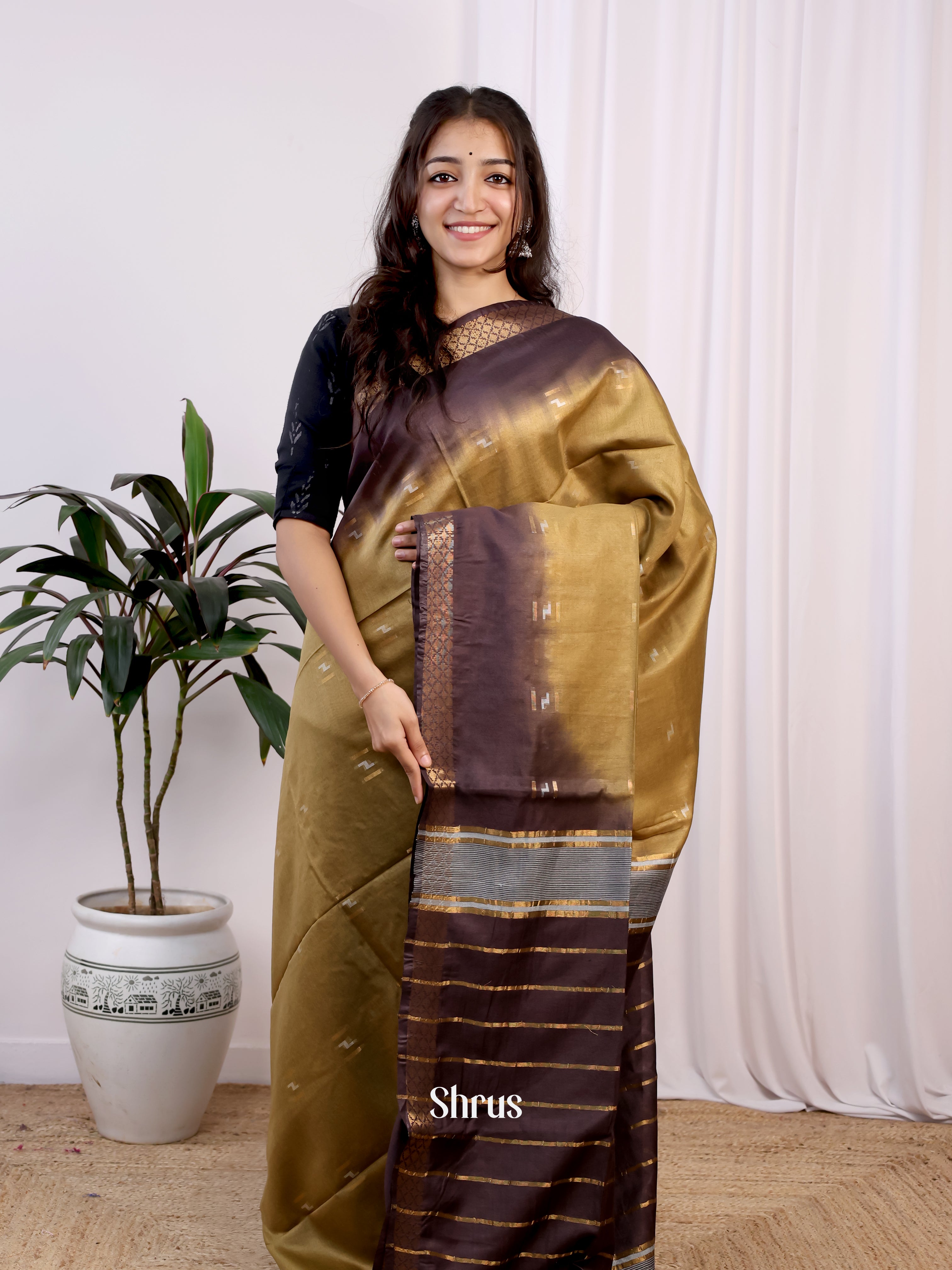 Beige & Brown- Semi Tussar Saree - Shop on Shrus.com